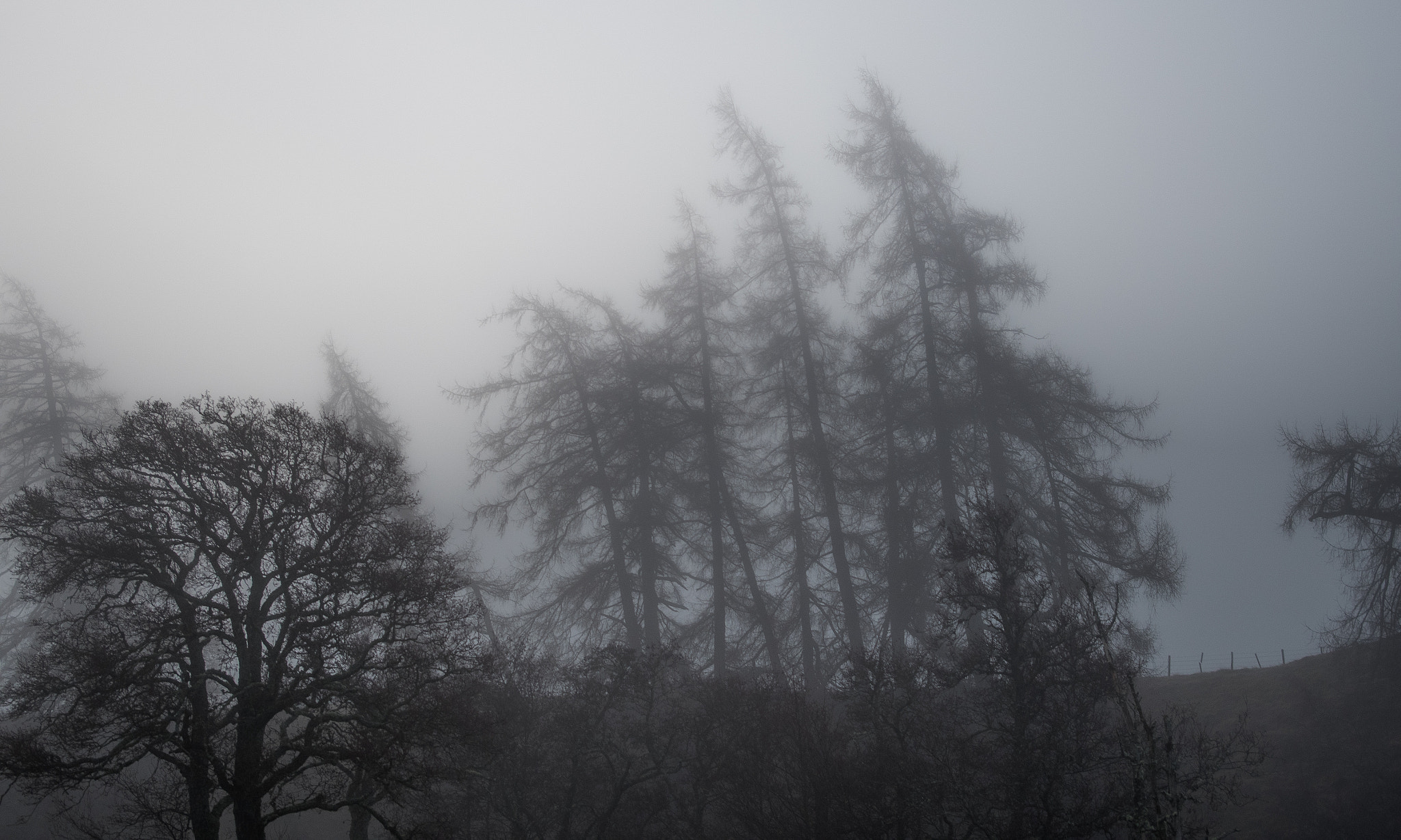 Pentax smc DA 18-55mm F3.5-5.6 AL sample photo. Morning fog photography