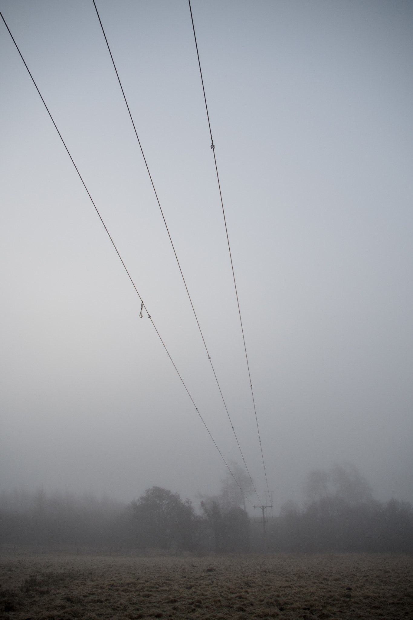 Pentax smc DA 18-55mm F3.5-5.6 AL sample photo. Wires photography