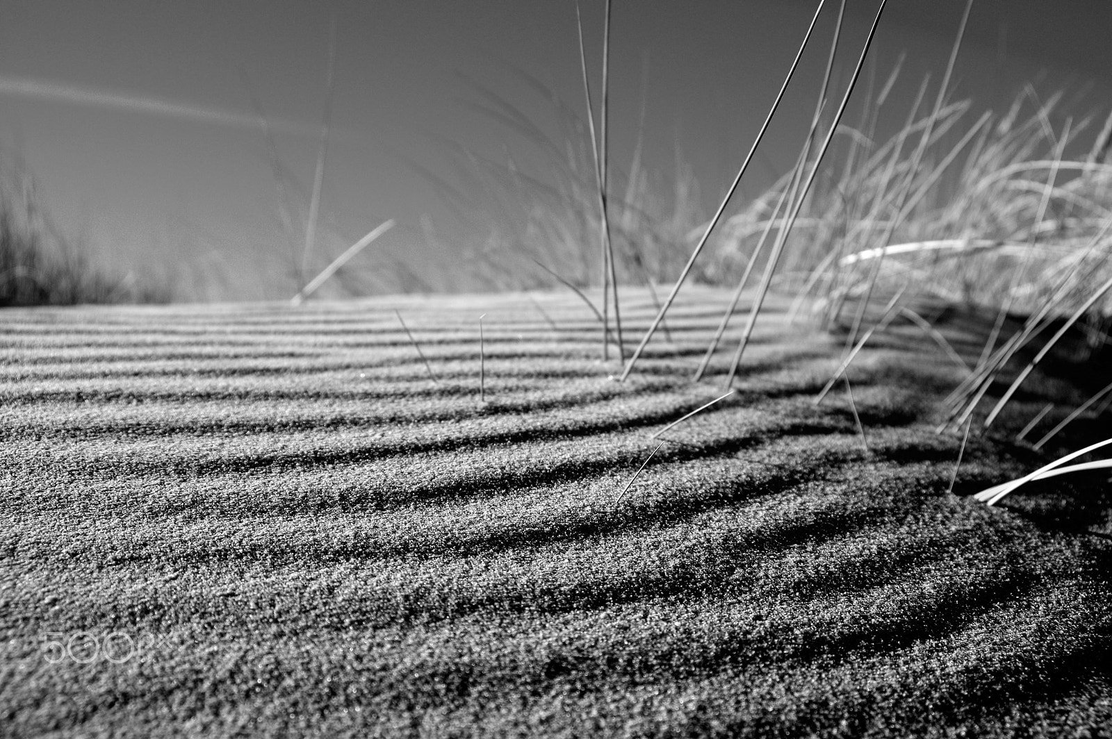 Pentax K-3 II + Sigma 17-35mm F2.8-4 EX DG sample photo. Coastal dunes photography
