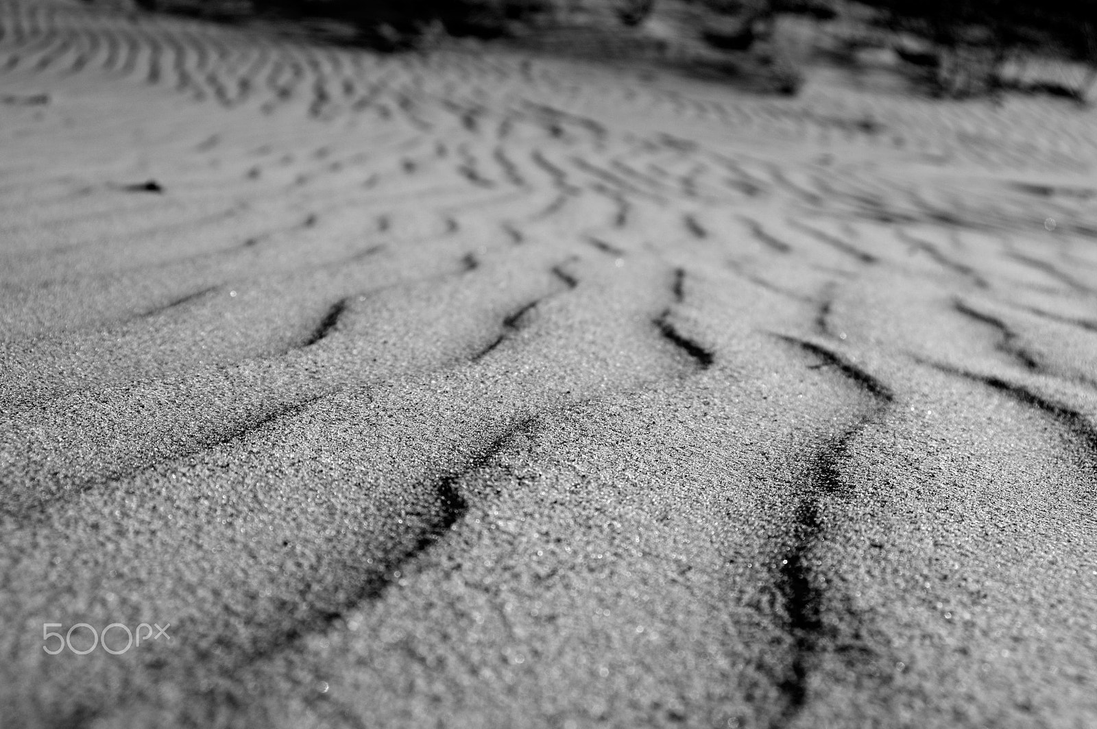 Sigma 17-35mm F2.8-4 EX DG sample photo. Coastal dunes photography