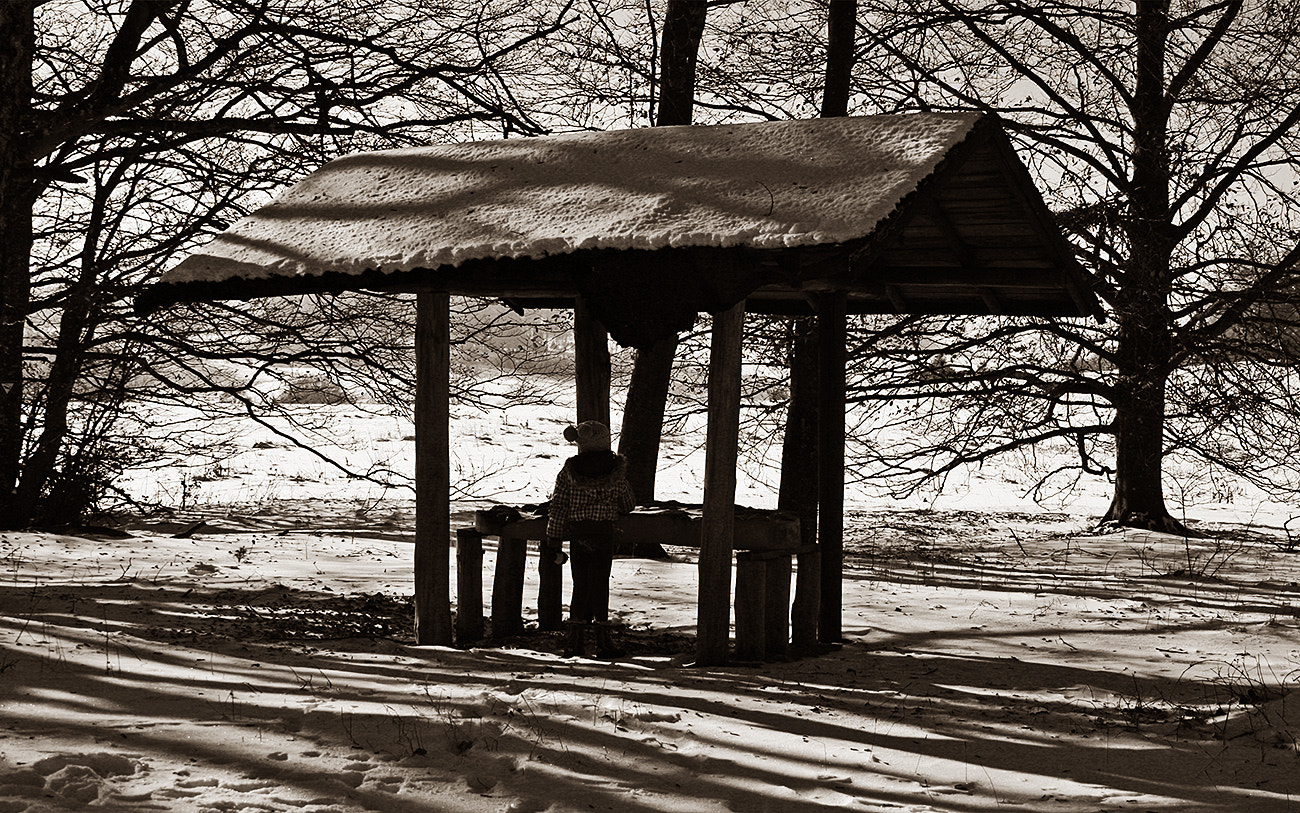 Canon EOS 400D (EOS Digital Rebel XTi / EOS Kiss Digital X) sample photo. ... winter moments ... photography
