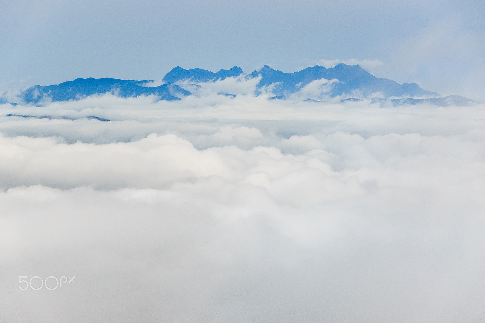 24-200mm F2.8 sample photo. Sea of mist photography