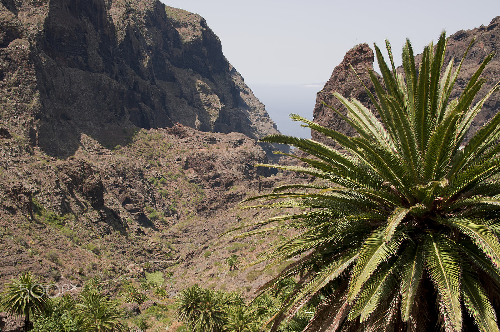 Sigma 17-50mm F2.8 EX DC OS HSM sample photo. Masca, tenerife photography