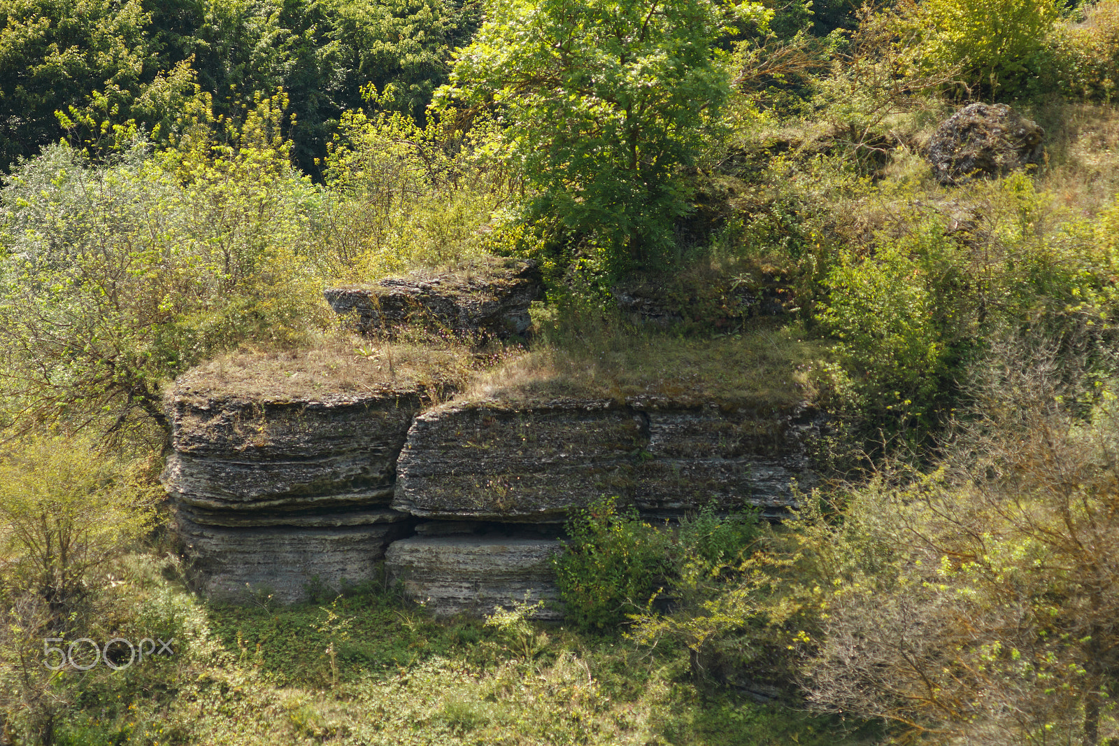 Canon EF 35-80mm f/4-5.6 sample photo. Rock of limestone in the forest photography