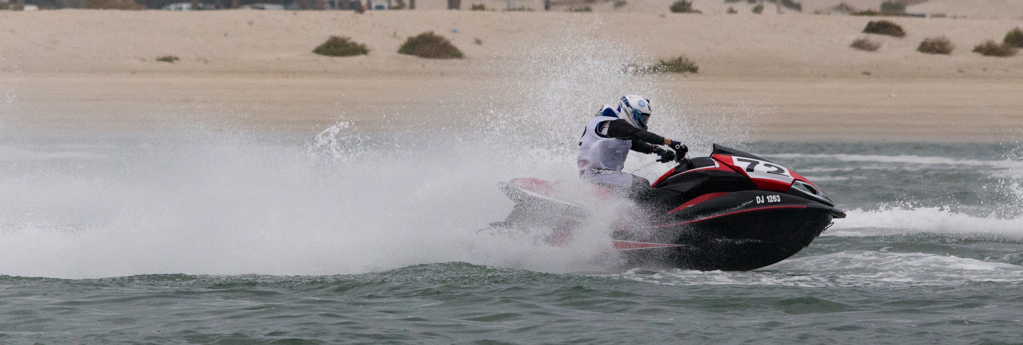 Sigma 150-500mm F5-6.3 DG OS HSM sample photo. Img photography