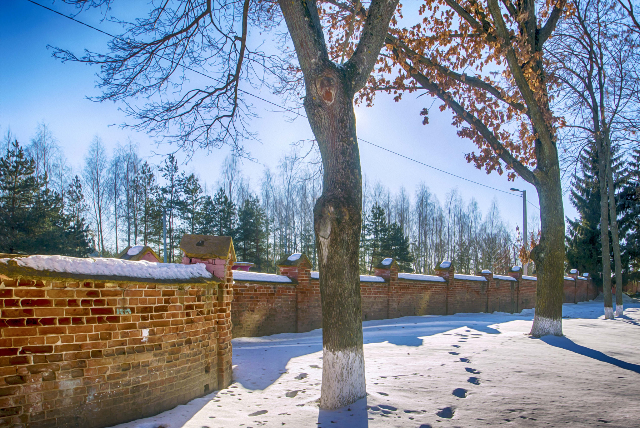 Nikon D3200 sample photo. За оградой photography