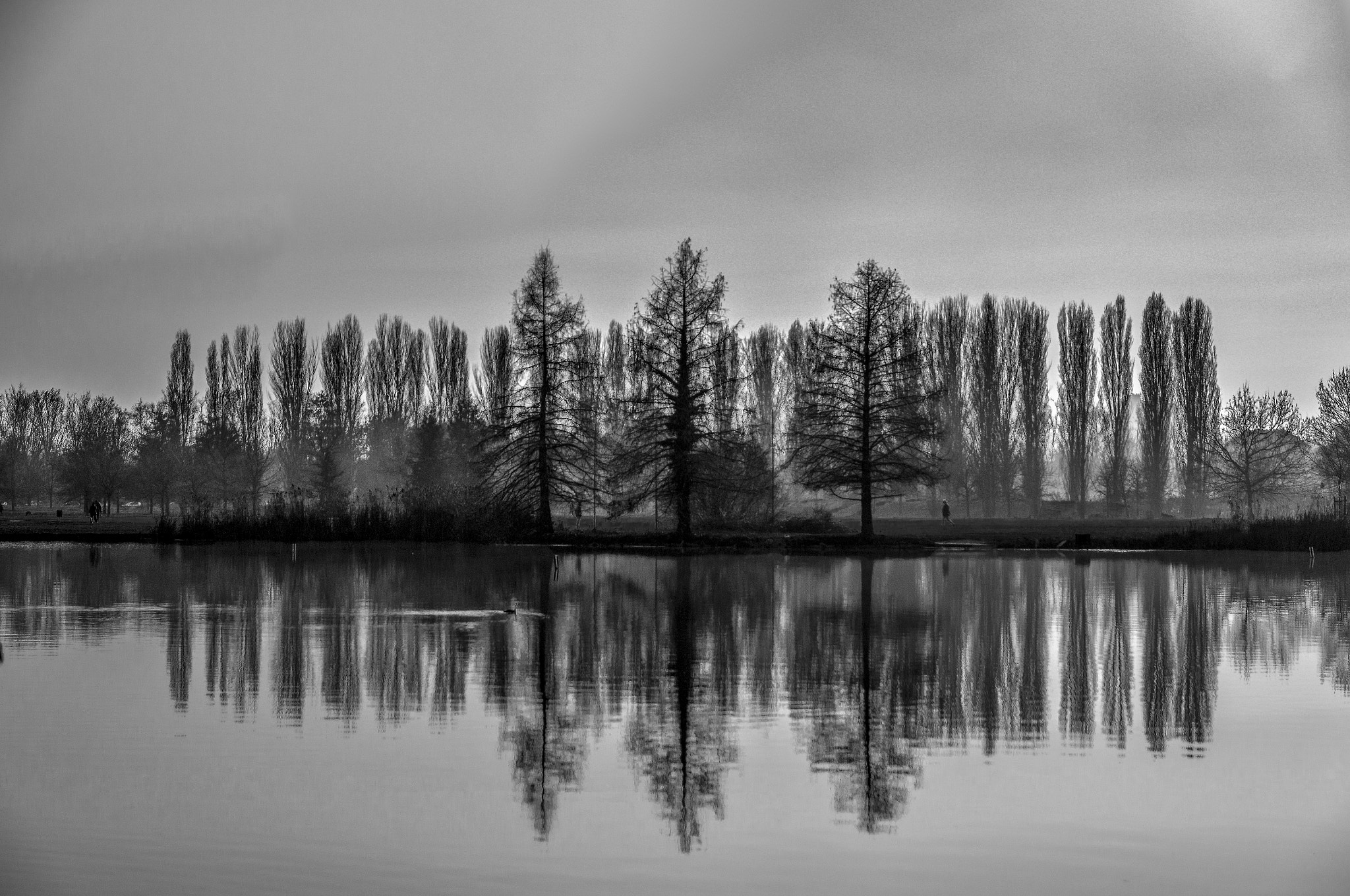 Sigma 17-70mm F2.8-4 DC Macro OS HSM | C sample photo. Sad reflections photography