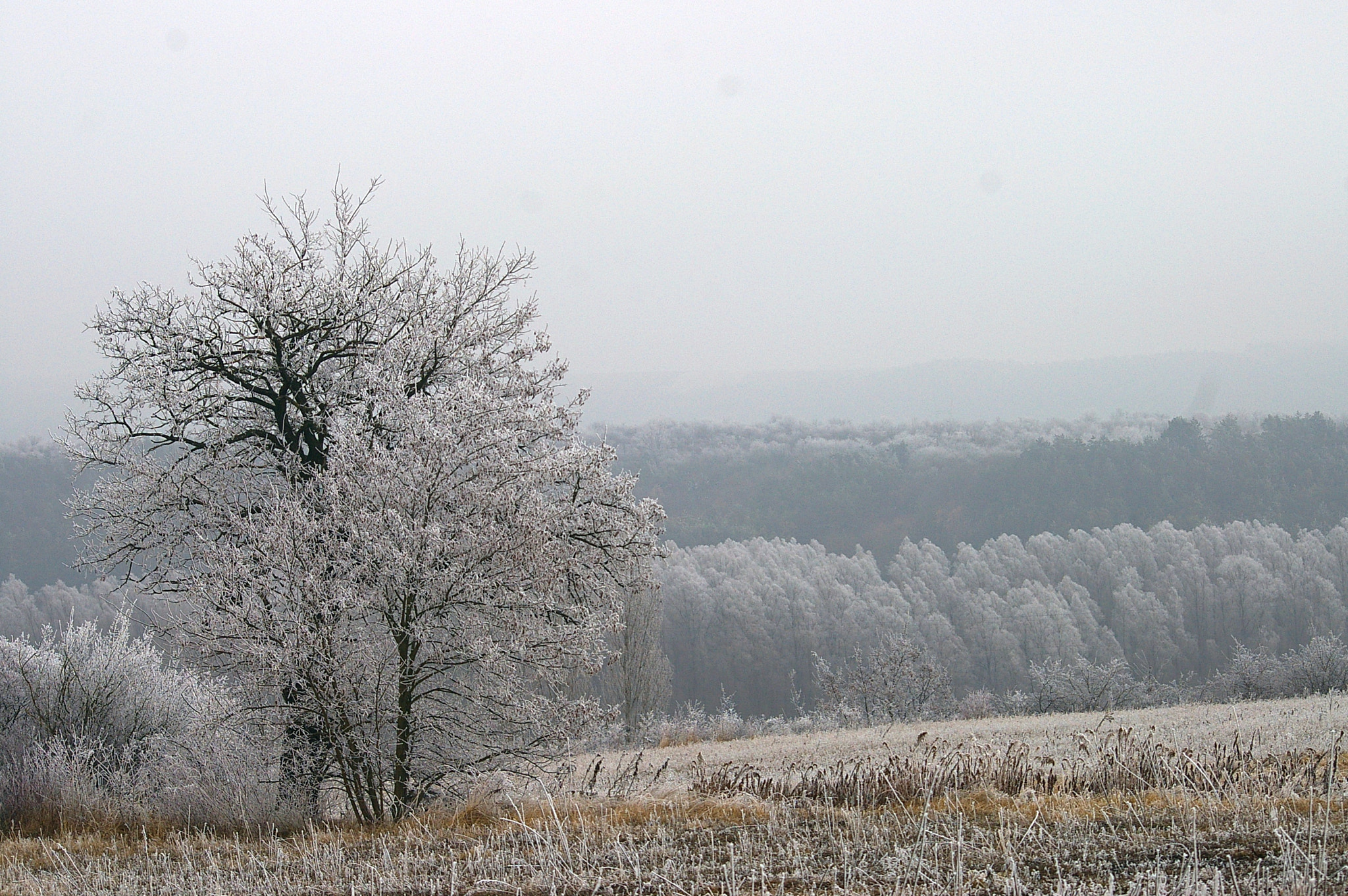 Pentax *ist DL sample photo. Untitled photography