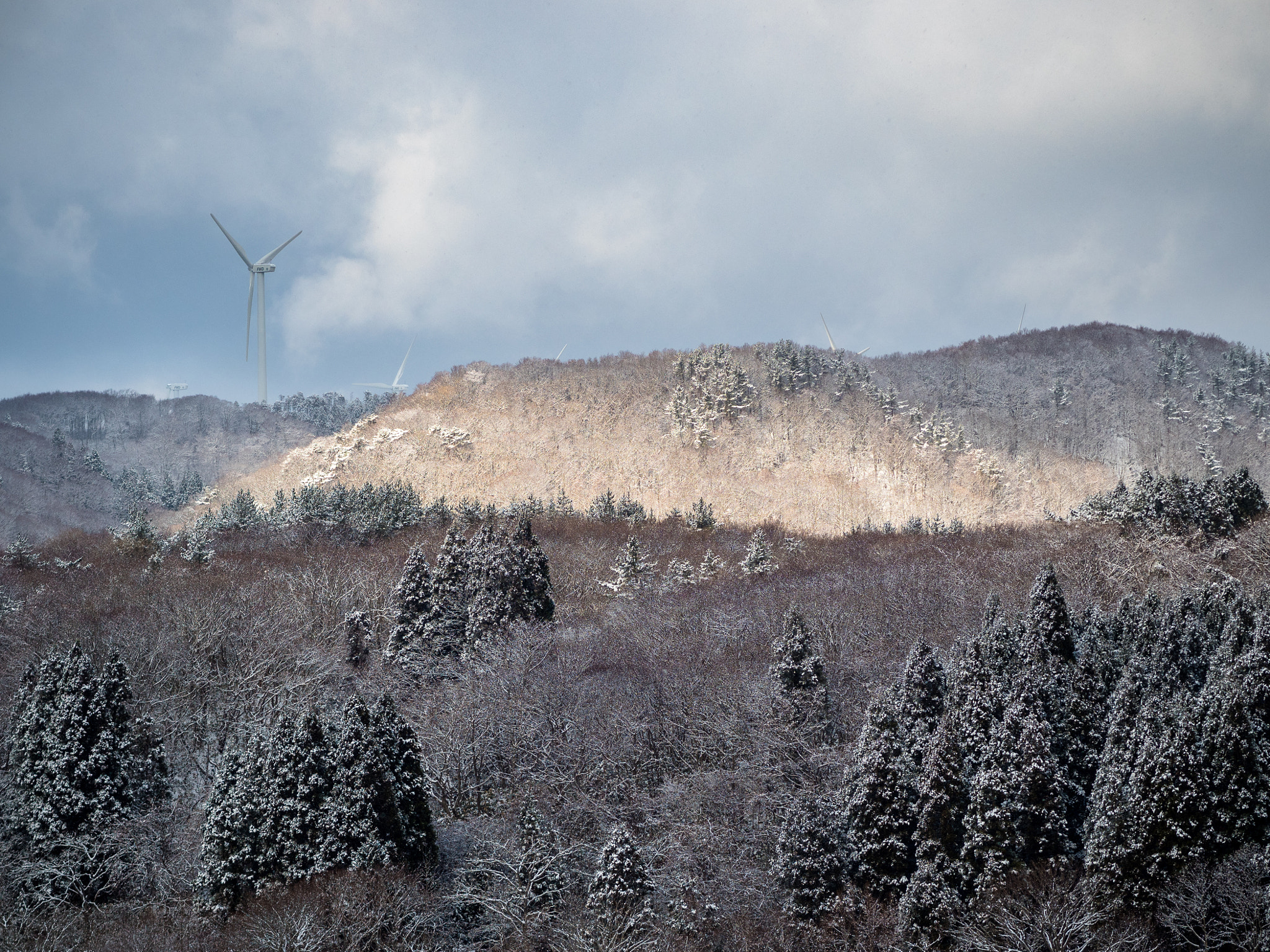 Olympus OM-D E-M5 II + Olympus M.Zuiko Digital ED 75mm F1.8 sample photo. Winter valley photography