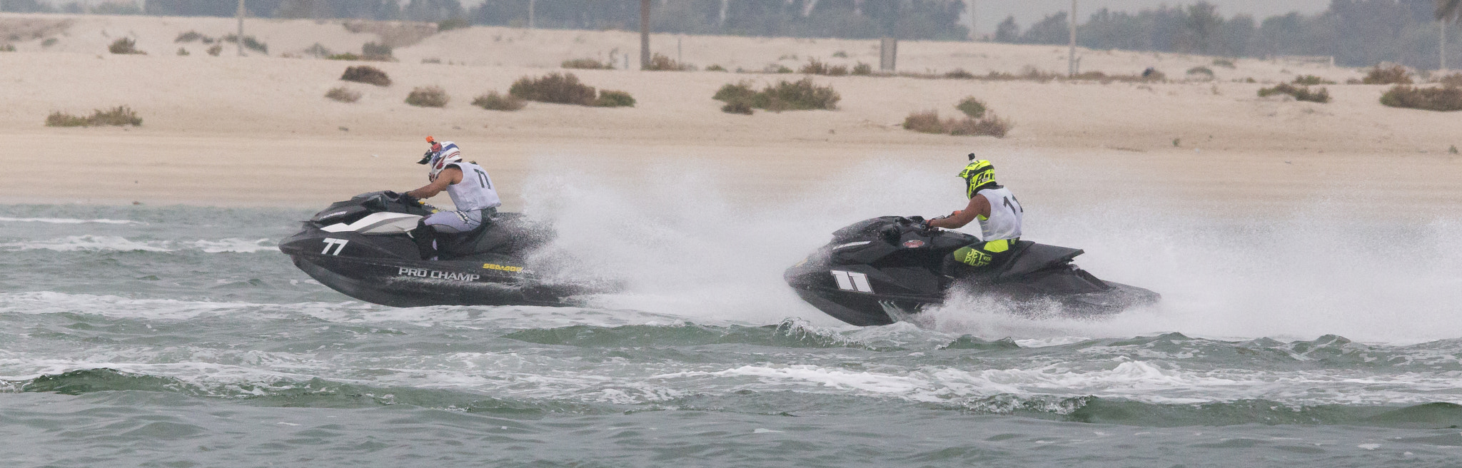 Sigma 150-500mm F5-6.3 DG OS HSM sample photo. Img photography