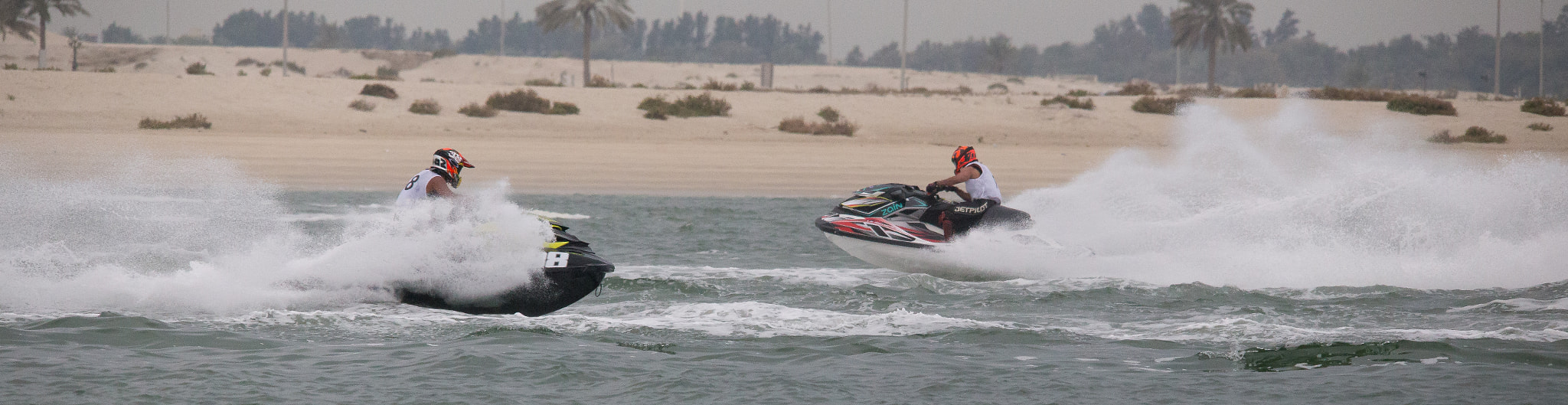 Sigma 150-500mm F5-6.3 DG OS HSM sample photo. Img photography