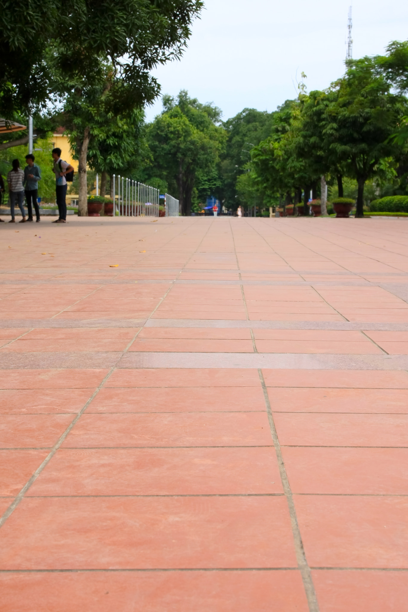 Canon EOS 40D + Canon EF 24-105mm F4L IS USM sample photo. Ground pattern photography