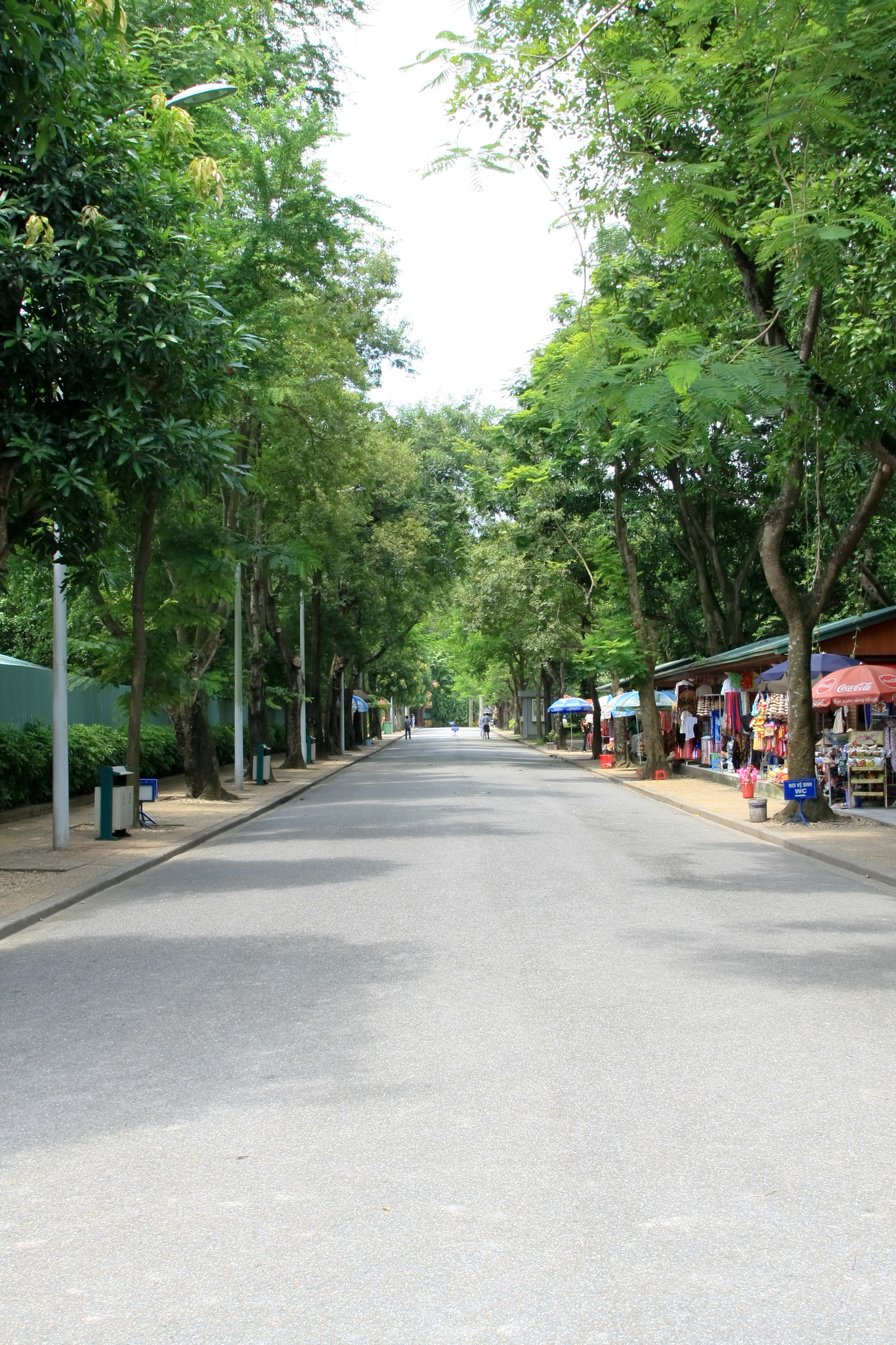 Canon EOS 40D + Canon EF 24-105mm F4L IS USM sample photo. Local city road photography
