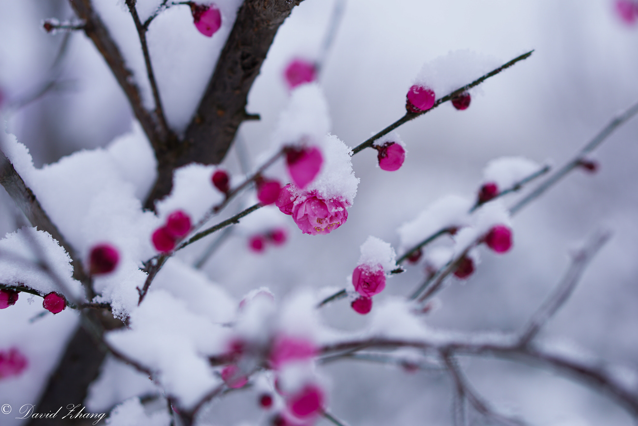 E 50mm F1.8 OSS sample photo. Dsc photography