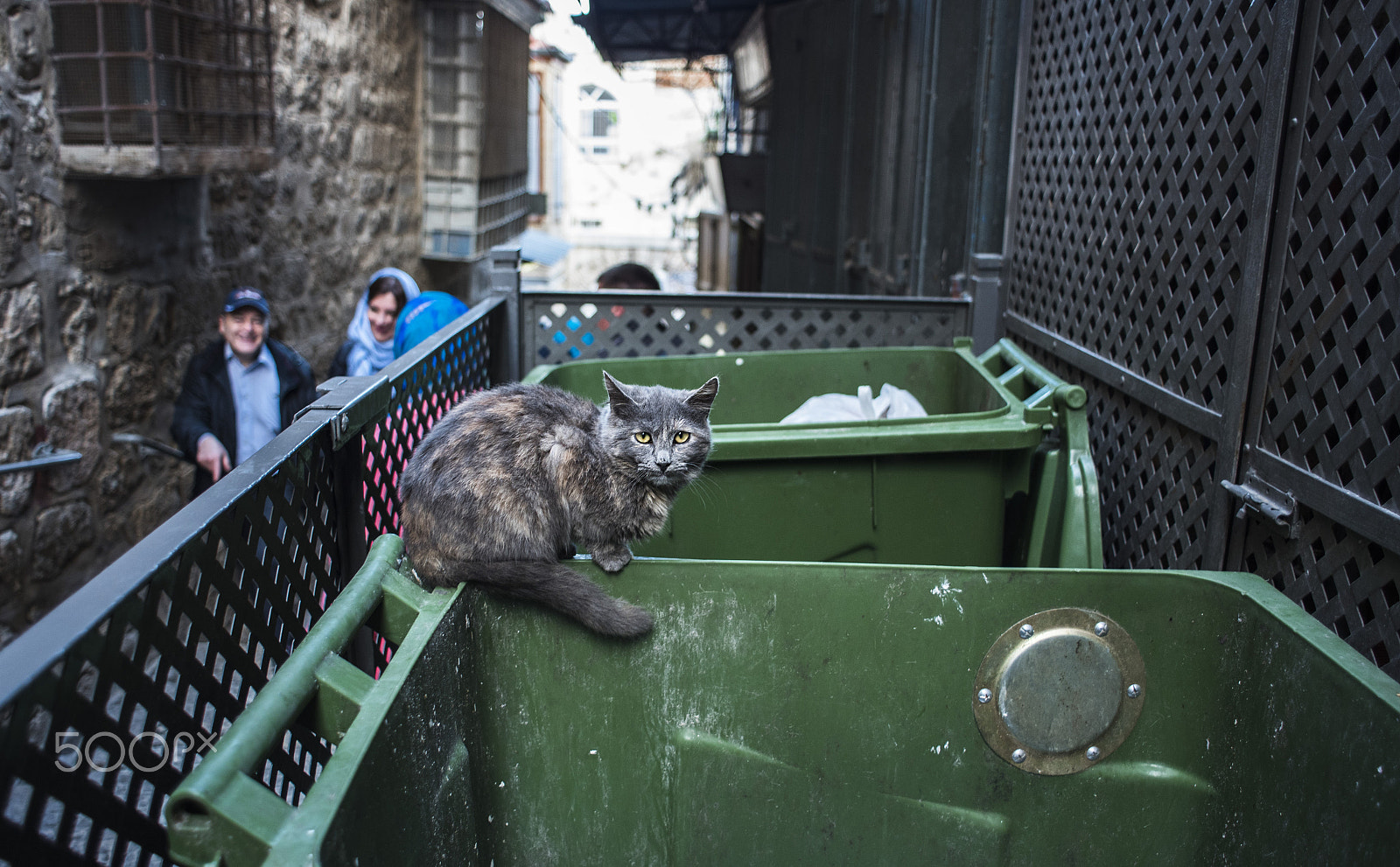 Nikon AF Nikkor 24mm F2.8D sample photo. Compassion photography