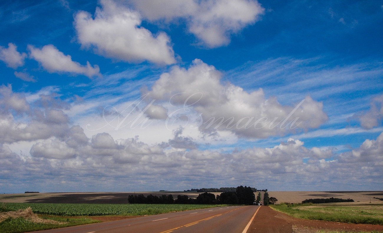 Sony DSC-P200 sample photo. Red soil  photography