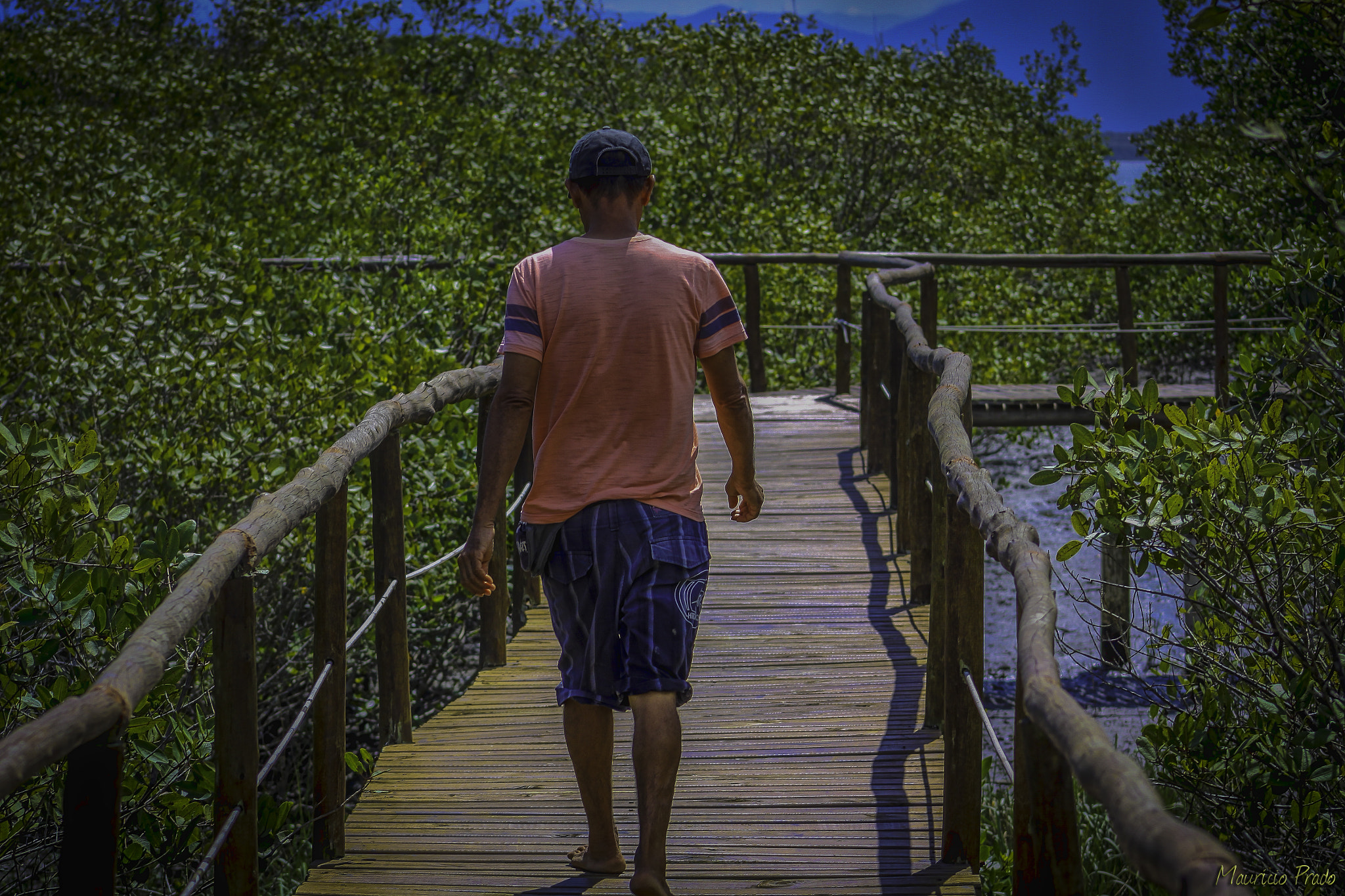 Canon EOS 50D + EF75-300mm f/4-5.6 sample photo. Mr. ilso ... the mangrove guardian photography