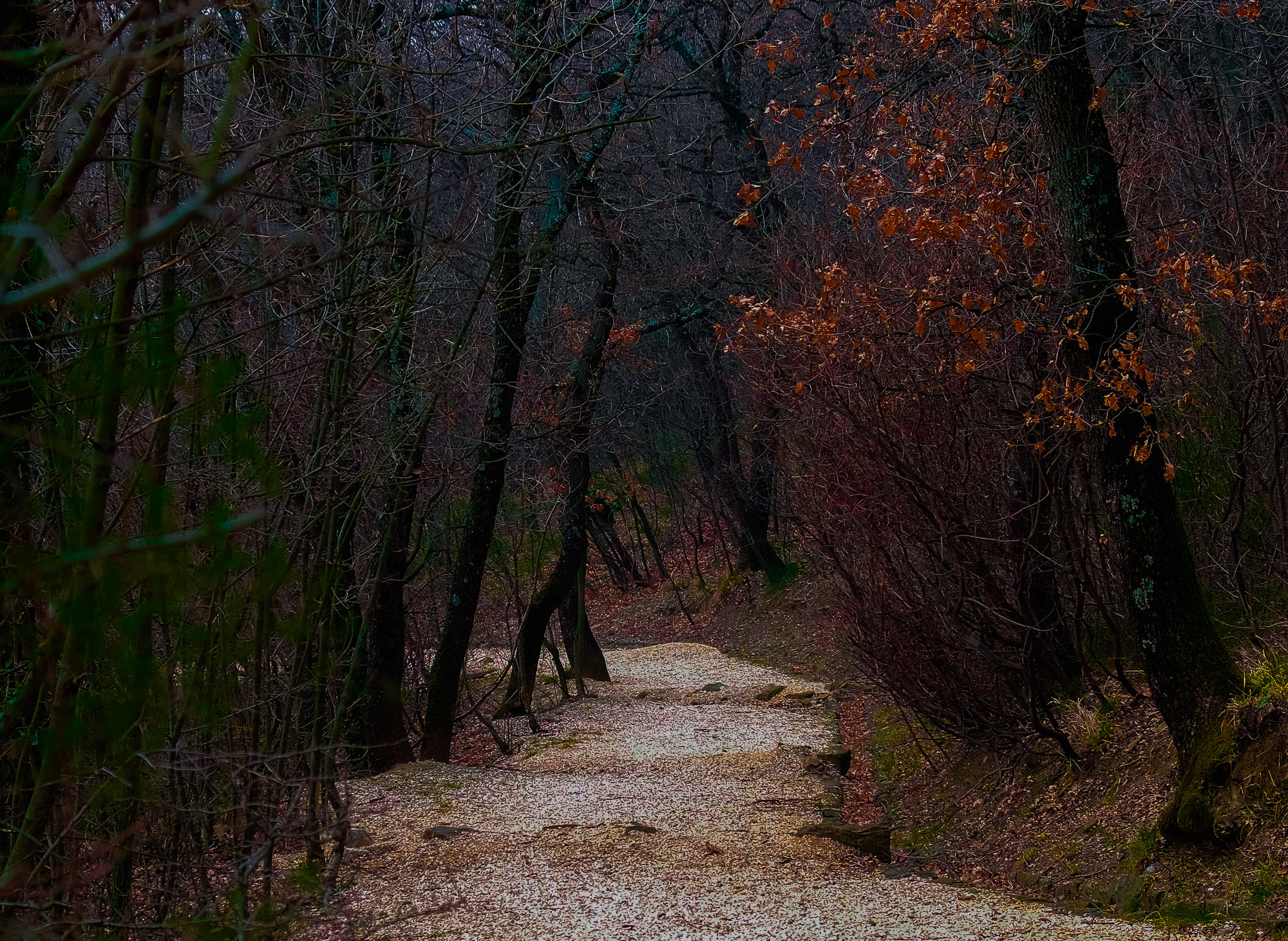Fujifilm X-E2S + Fujifilm XF 18-55mm F2.8-4 R LM OIS sample photo. Villa giulia photography