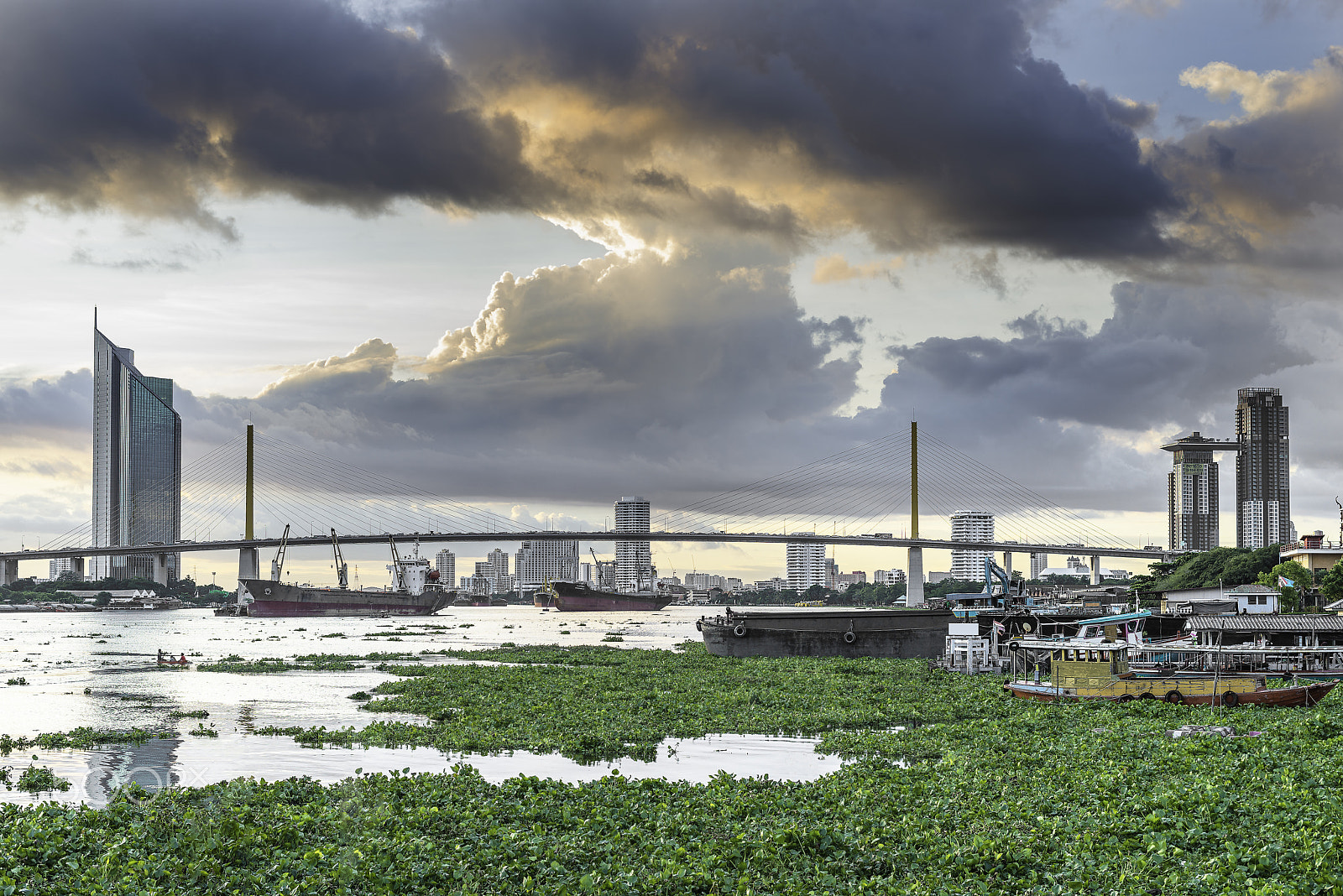 Nikon D800E + ZEISS Planar T* 50mm F1.4 sample photo. Bangkok city and chao phraya river photography