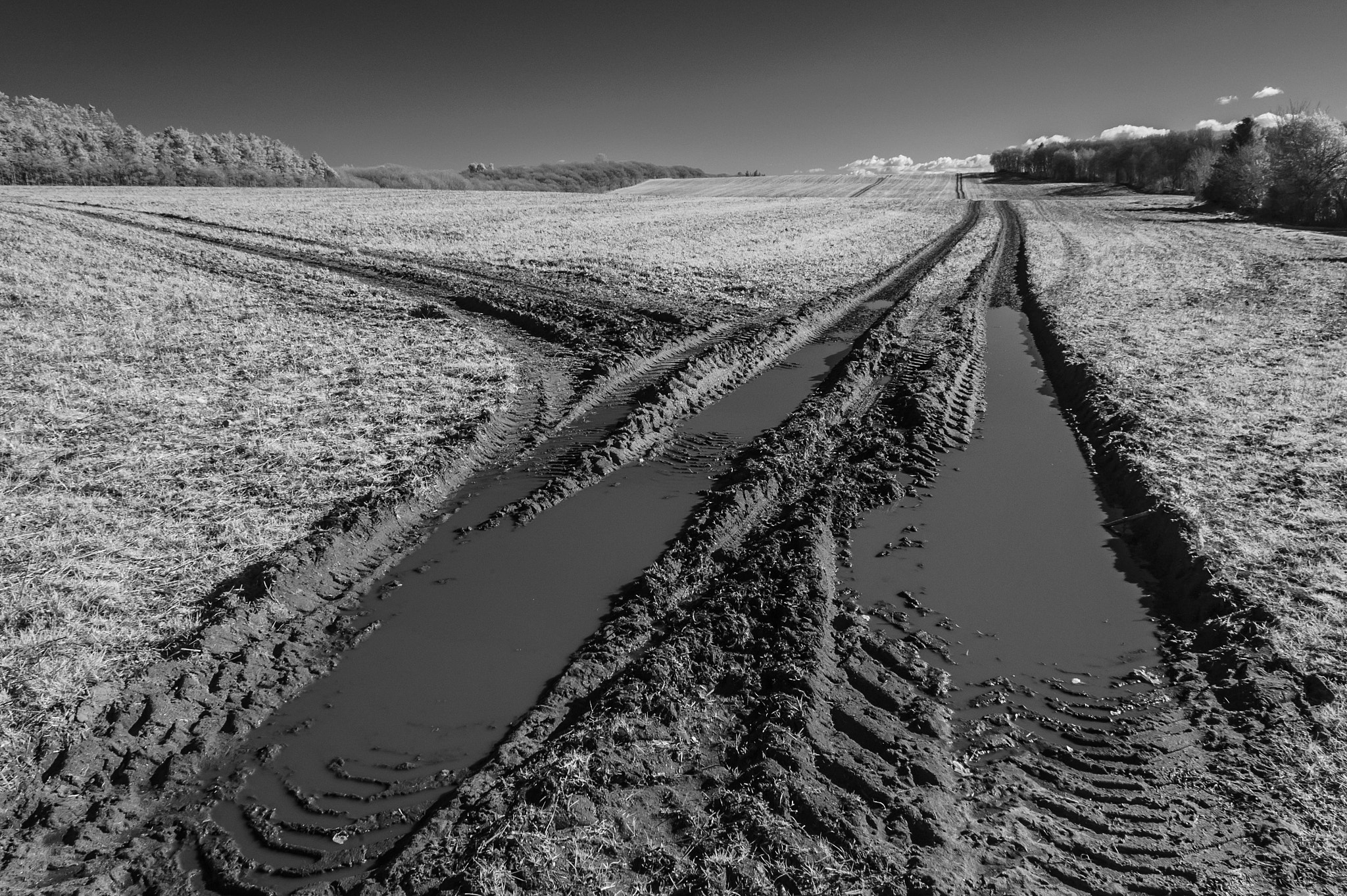 Nikon D70s sample photo. Tractor tracks in the landscape photography