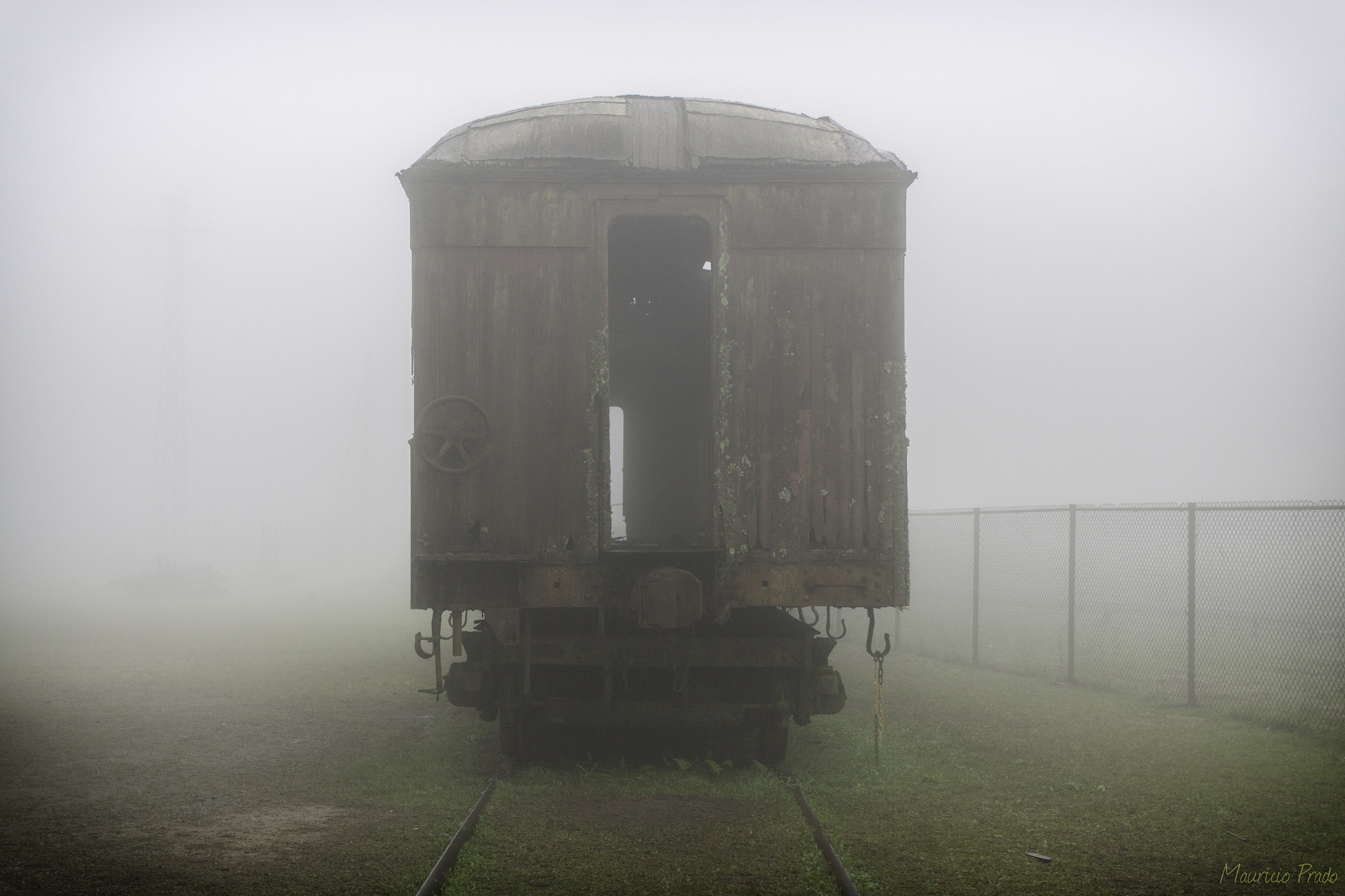 Canon EOS 50D sample photo. Dorsal cut of a composition in misty day ... photography