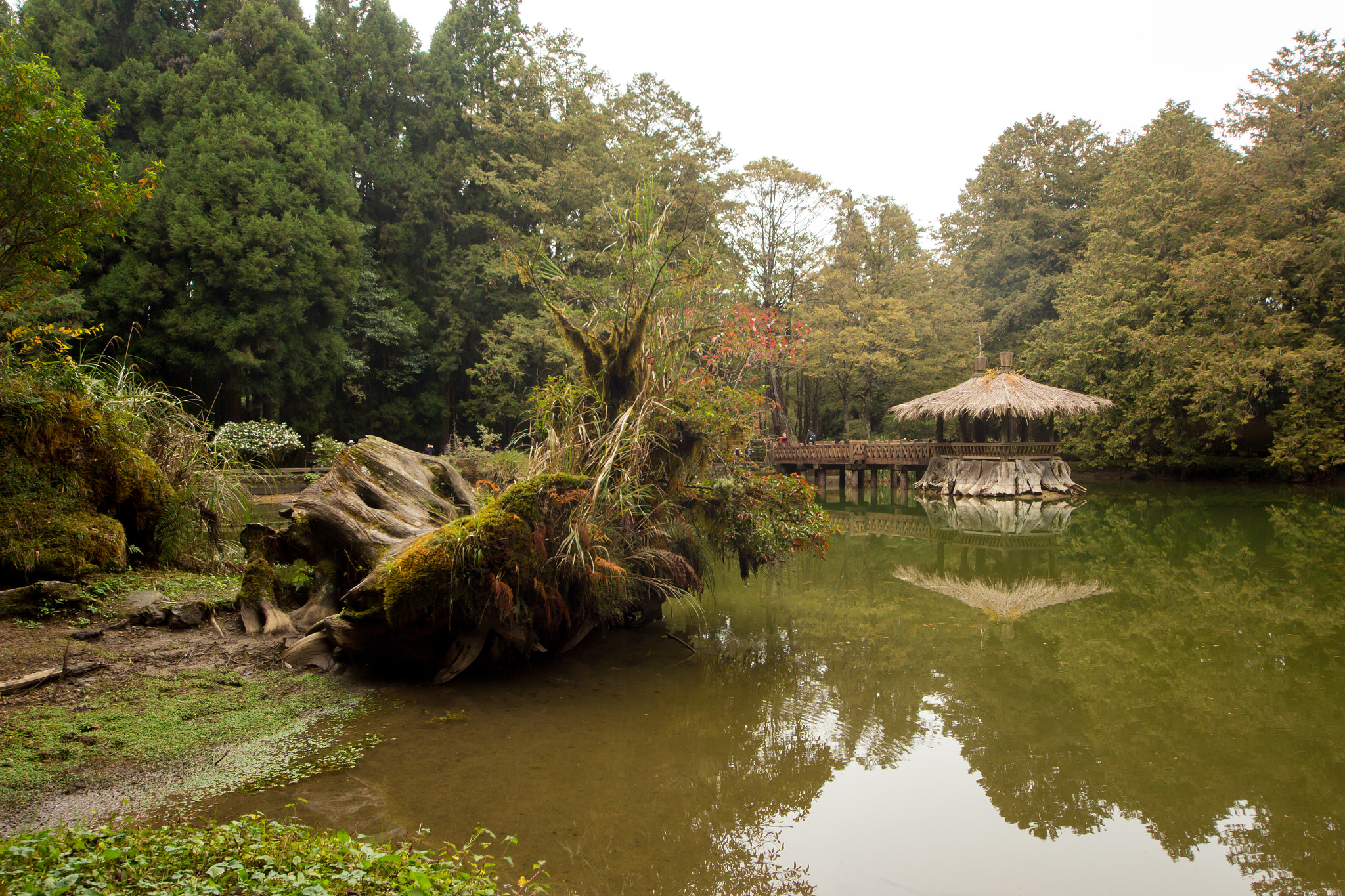 Canon EOS 650D (EOS Rebel T4i / EOS Kiss X6i) + Sigma 8-16mm F4.5-5.6 DC HSM sample photo. Magical pond in taiwan photography