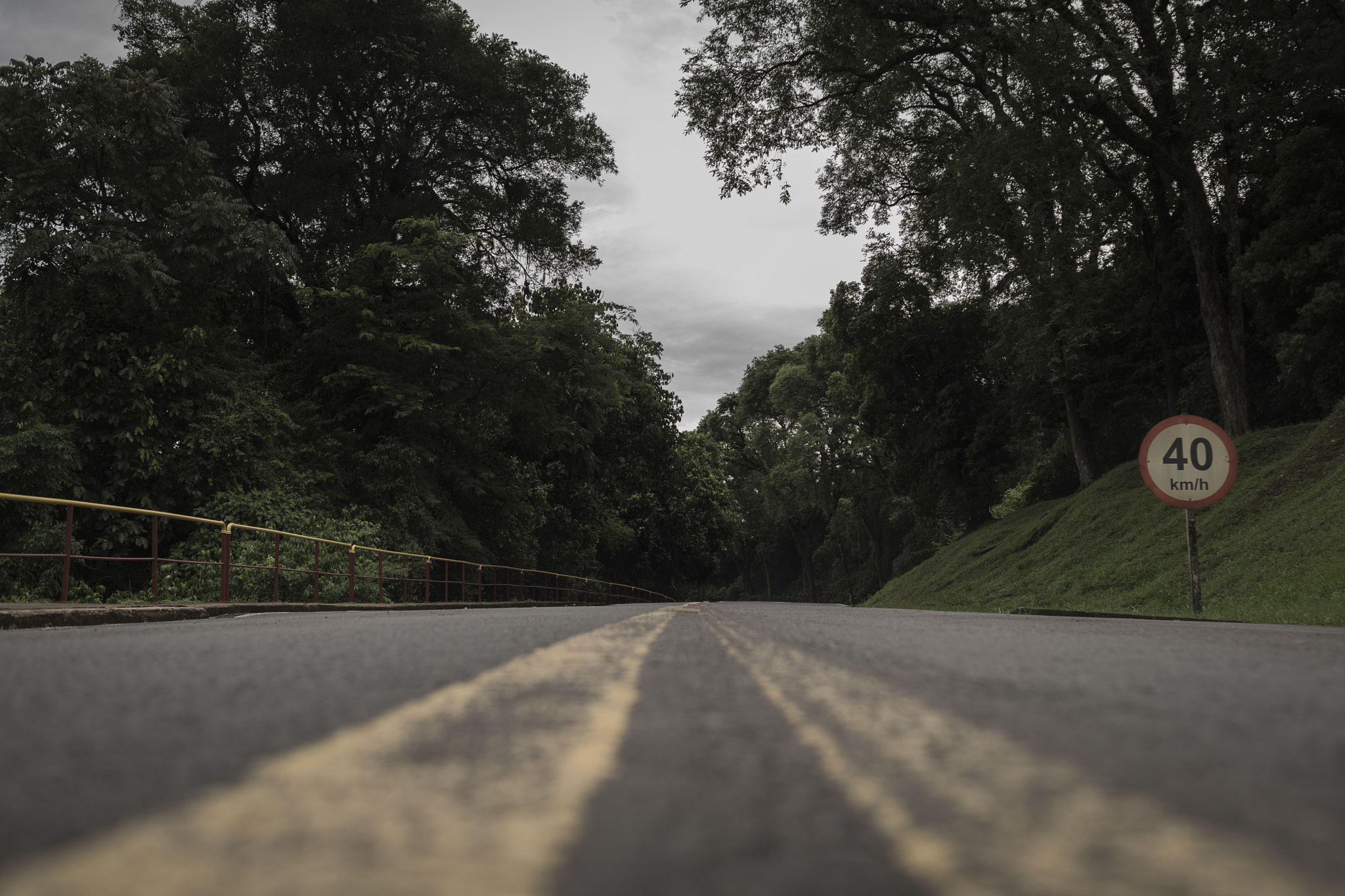 Nikon AF Nikkor 35mm F2D sample photo. Road to nature photography