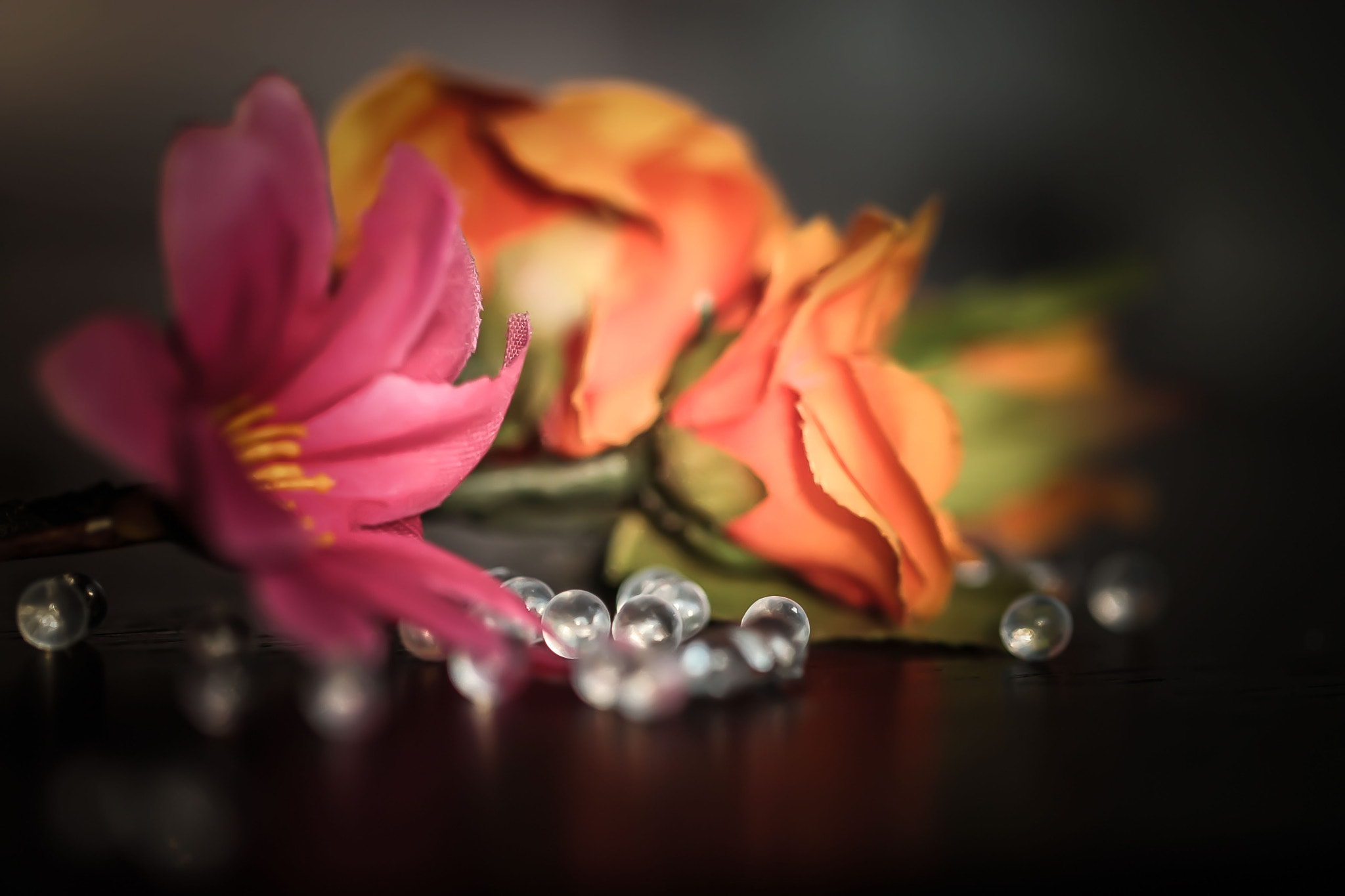 Canon EF 100mm F2.8L Macro IS USM sample photo. Img photography