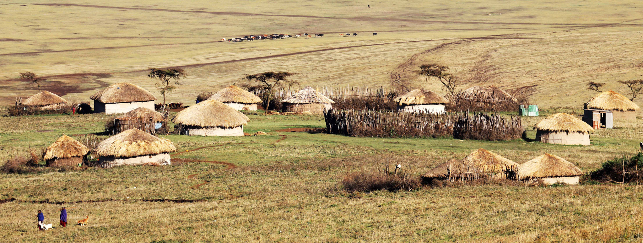 Canon EOS 80D sample photo. Maasai village in ngorongoro conservation area, tanzania photography