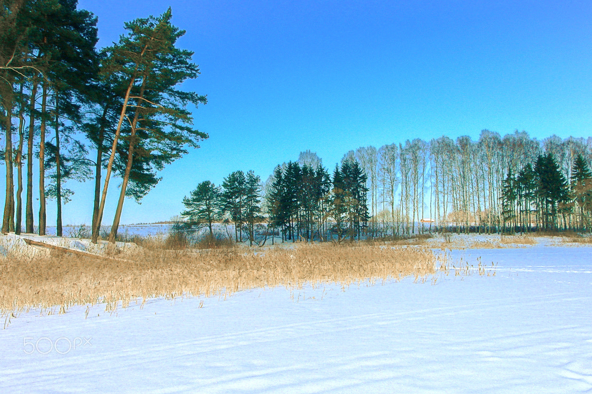 Sony DSC-H1 sample photo. Подмосковье (moscow suburbs) photography