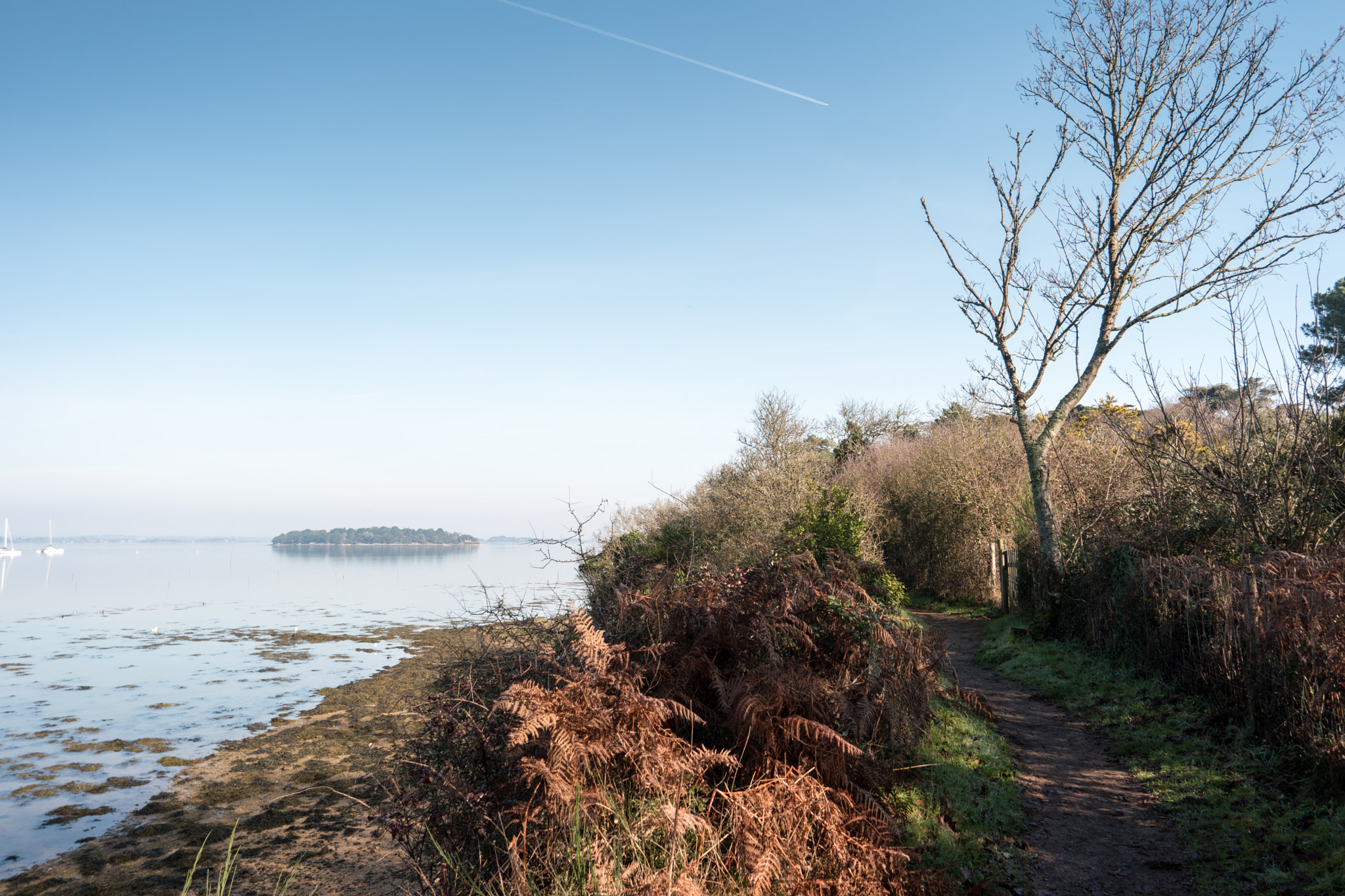 Samsung NX500 sample photo. Kerassel photography