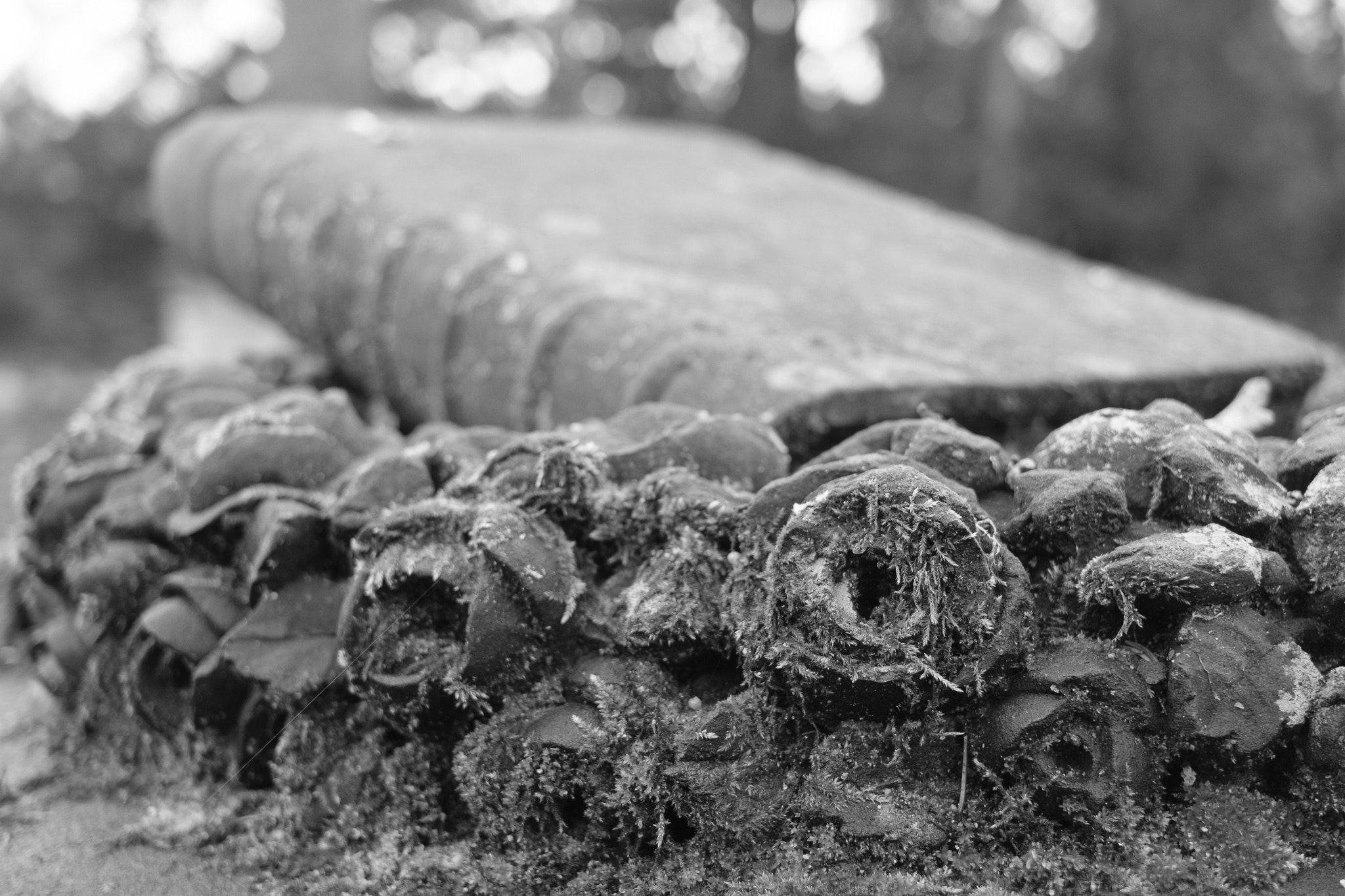 Fujifilm X-T2 + Fujifilm XF 27mm F2.8 sample photo. Alter friedhof photography