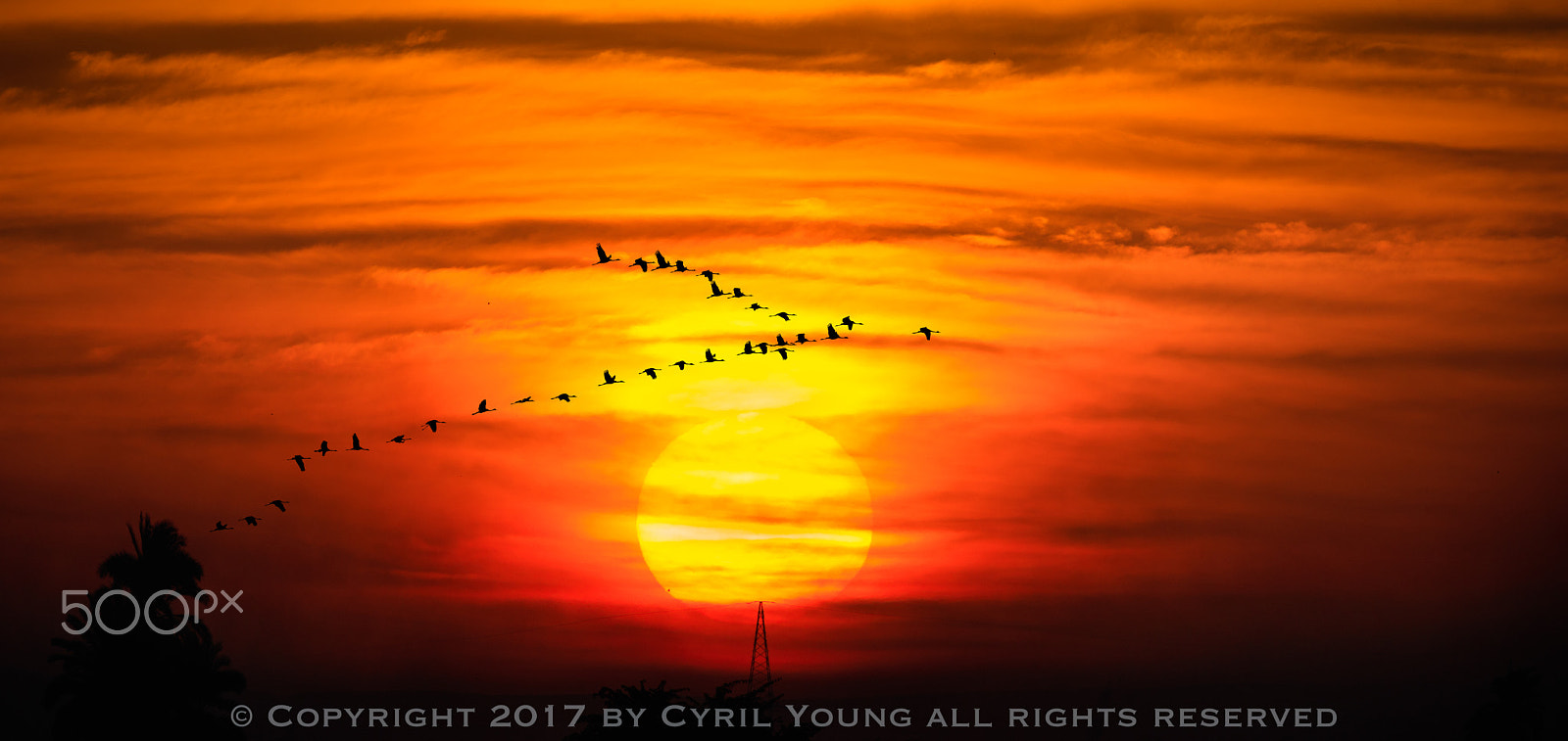 Canon EOS 5DS sample photo. Sunset on the nile photography