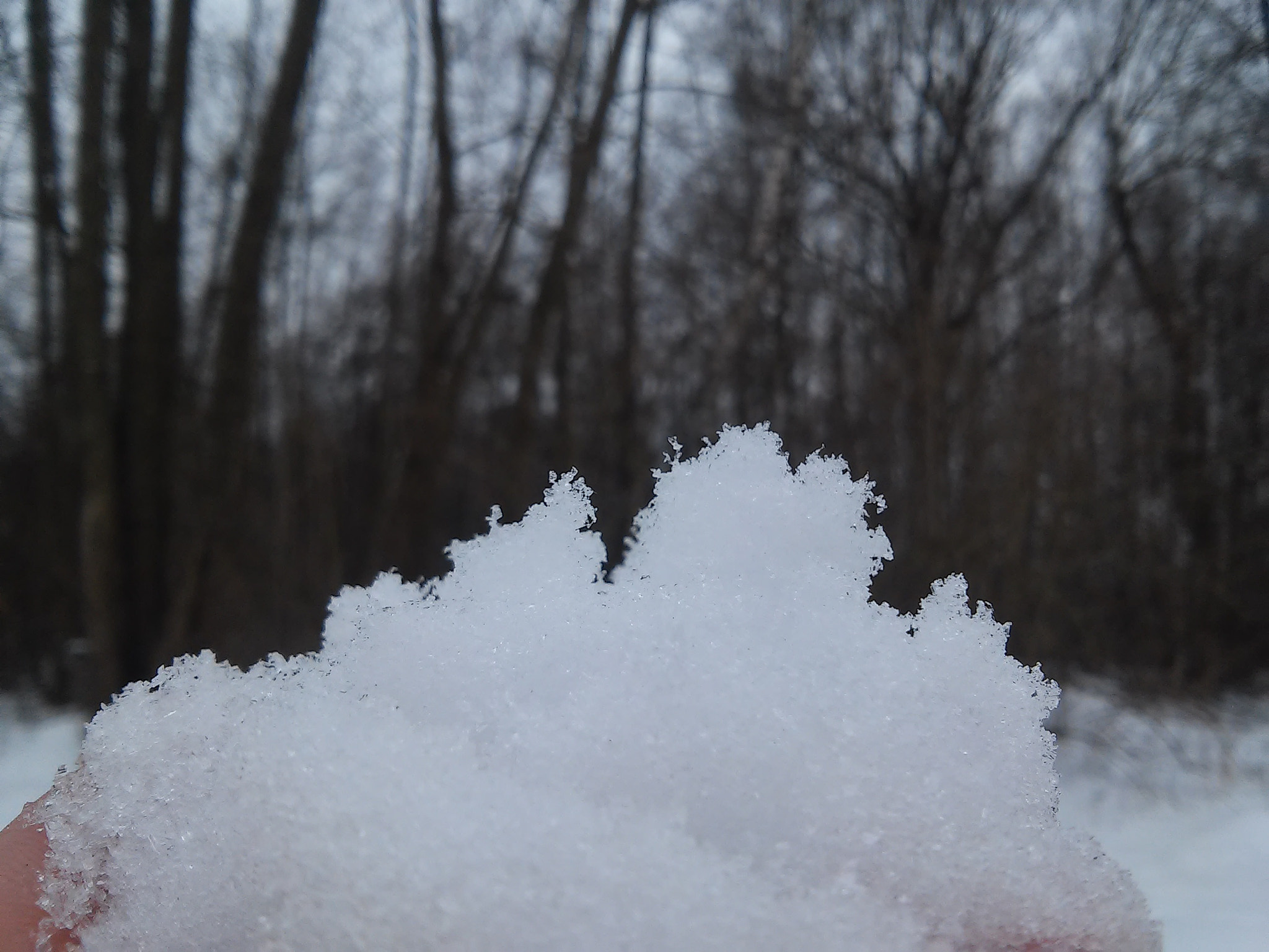 LG D405N sample photo. Śnieg na dłoni ** photography