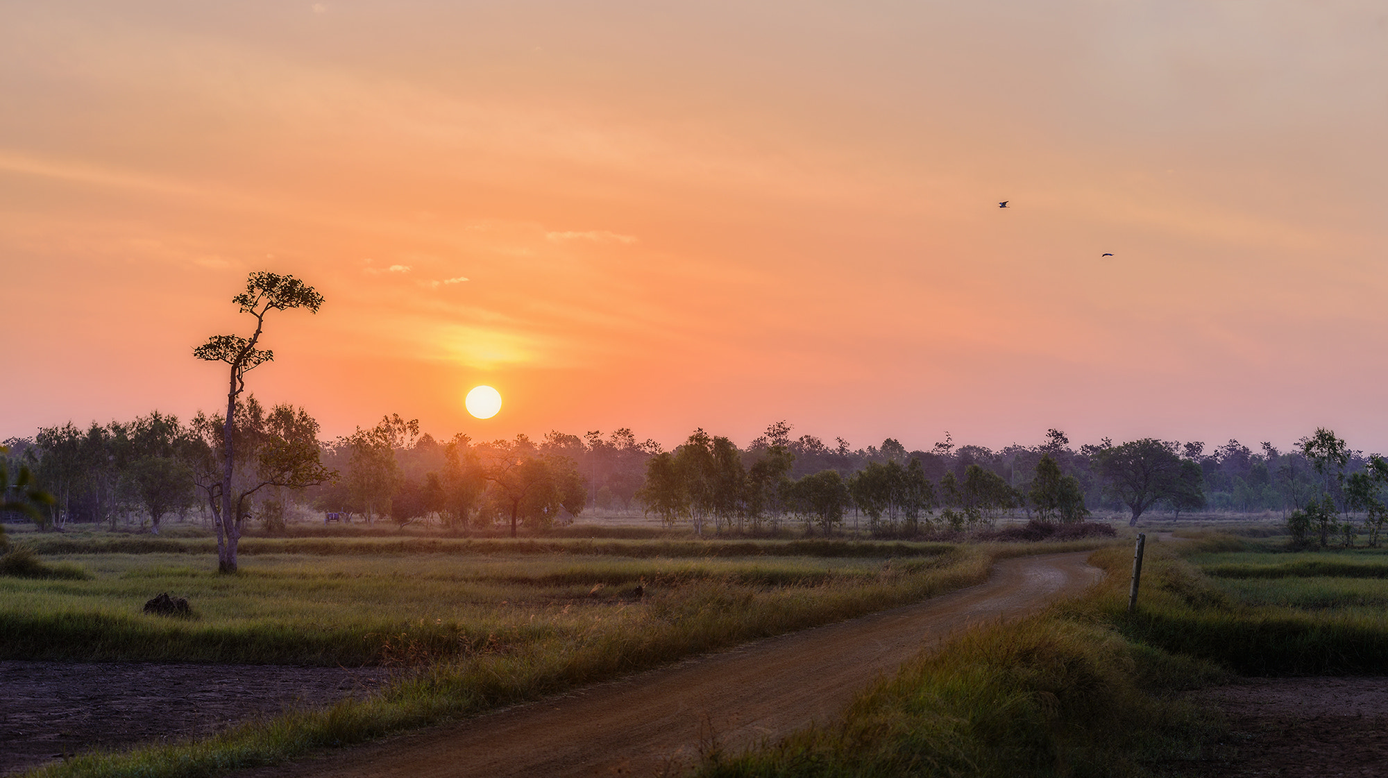 Nikon AF-Nikkor 80-200mm F2.8D ED sample photo. Sunrise at countryside photography