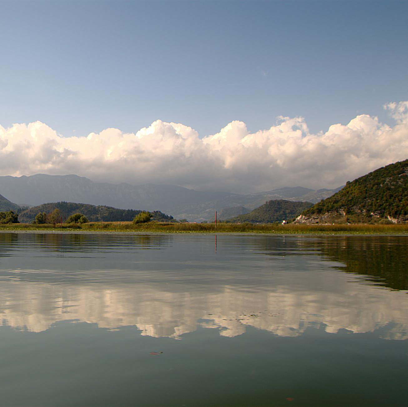 Nikon D60 sample photo. Skadarsko 2012 016 photography