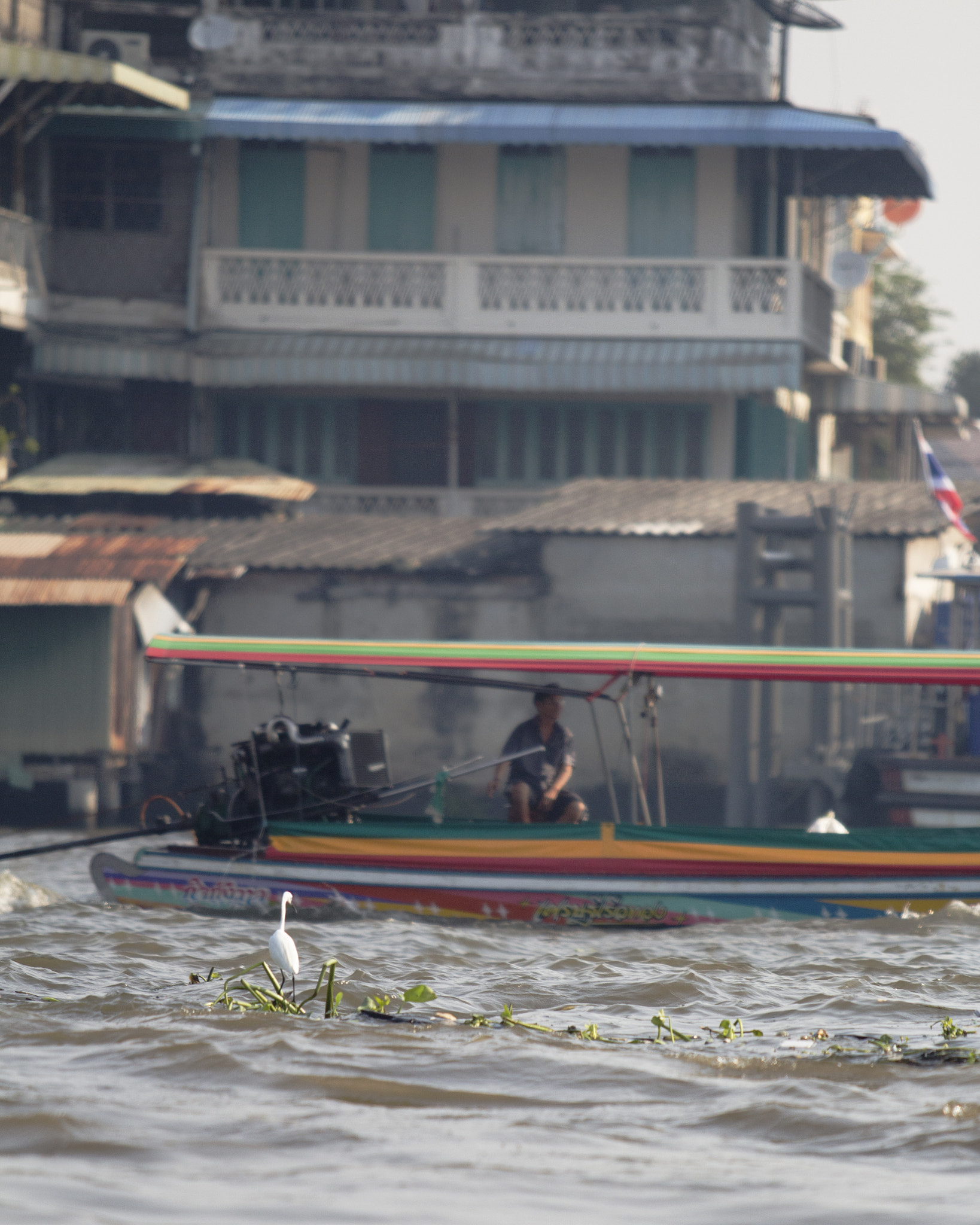 Canon EF 70-200mm F2.8L USM sample photo. @thailand photography