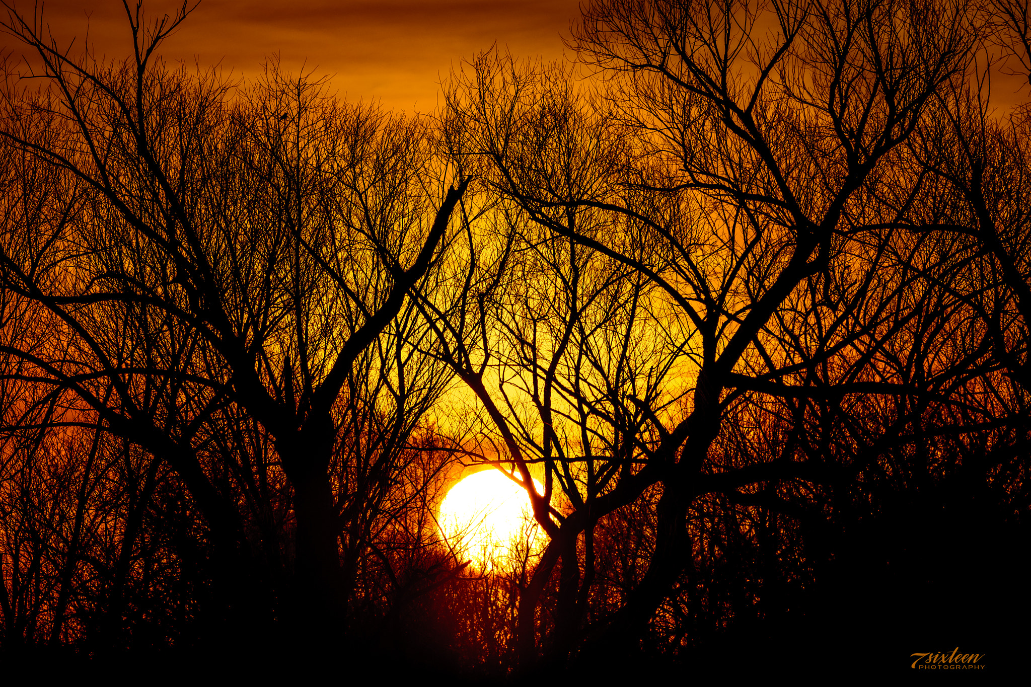 Nikon D500 sample photo. Sunburst sunrise photography