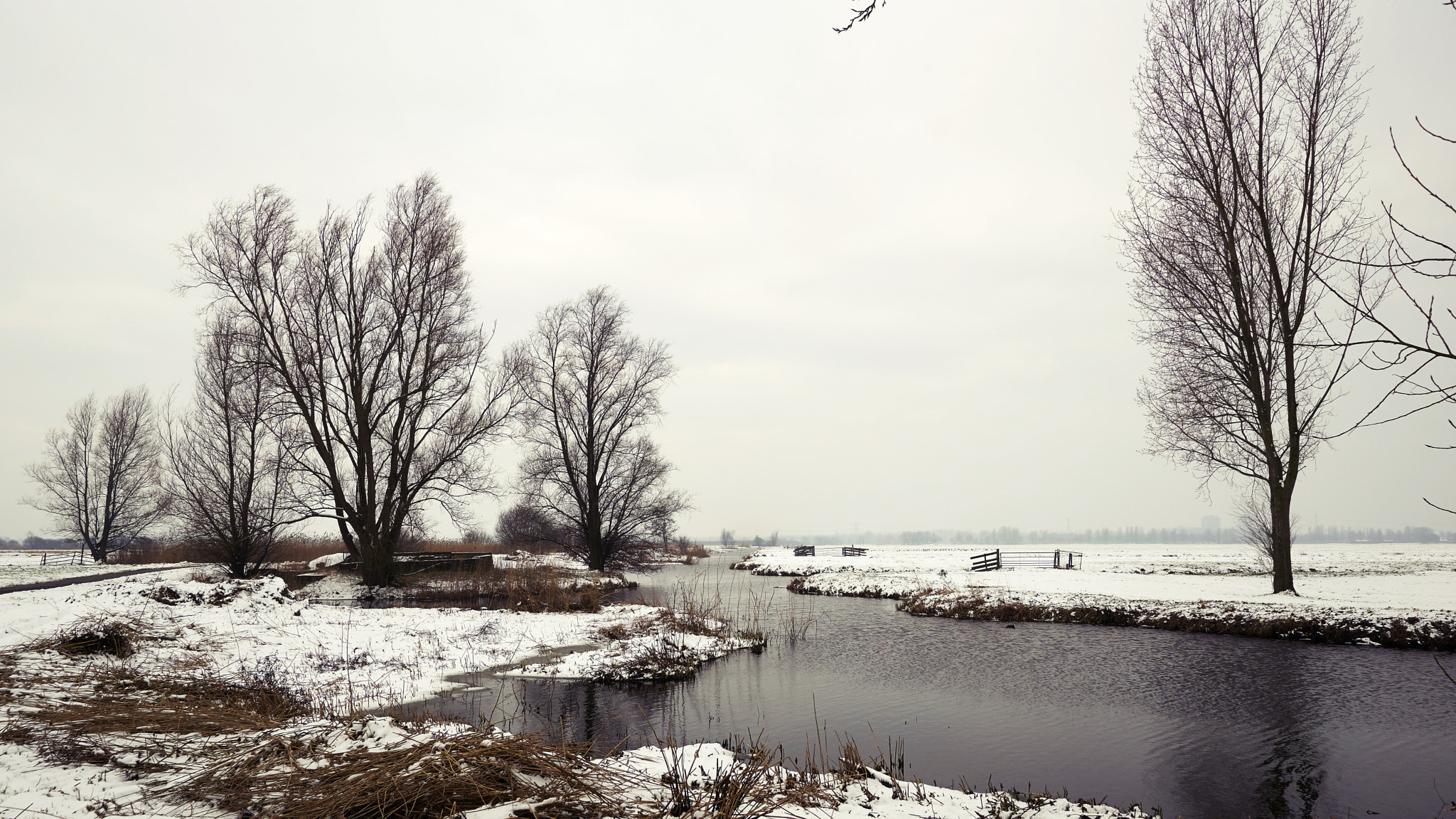 Sony ILCA-77M2 + 10-20mm F3.5 sample photo. Winter landscape photography