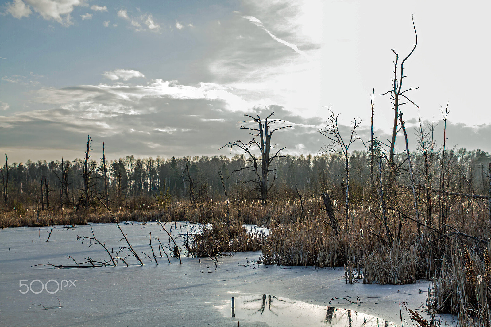 Canon EOS 7D sample photo. Schwenninger moos germany photography