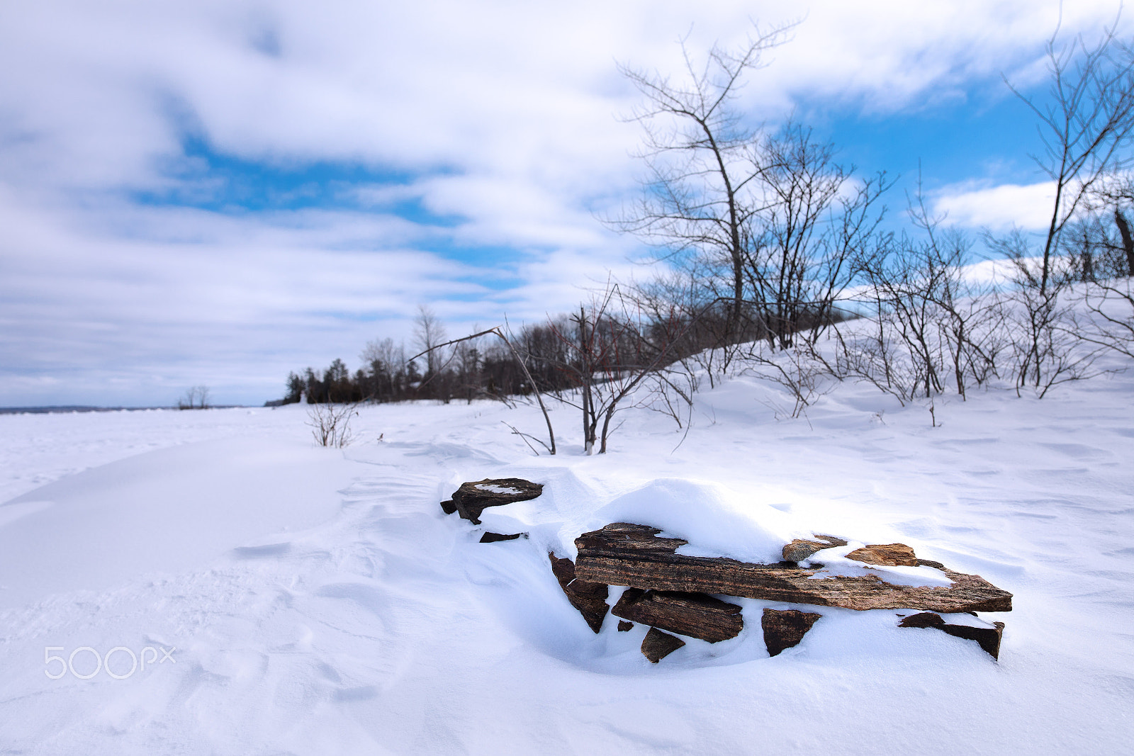 ZEISS Otus 28mm F1.4 sample photo. The drift photography