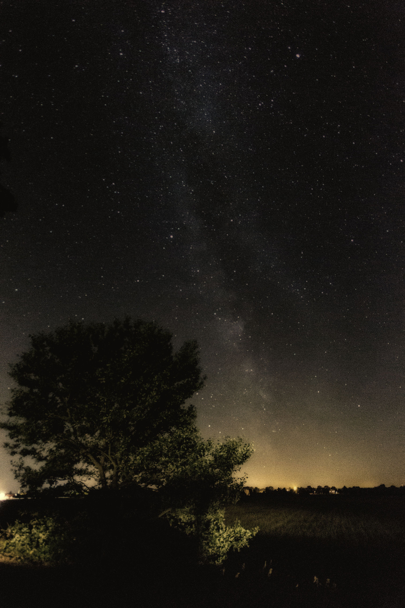 Canon EOS 700D (EOS Rebel T5i / EOS Kiss X7i) + Sigma 10-20mm F4-5.6 EX DC HSM sample photo. Milkyway in the city photography