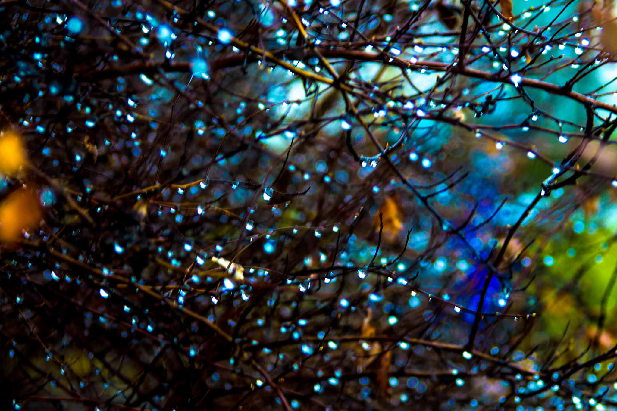 Sony a6000 + Minolta AF 35-105mm F3.5-4.5 sample photo. Zugegeben: die sony sah das anders photography