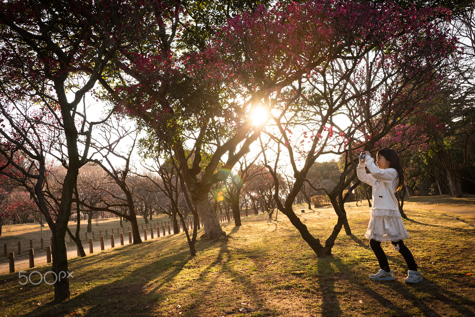 Sony SLT-A99V sample photo. A camera girl photography
