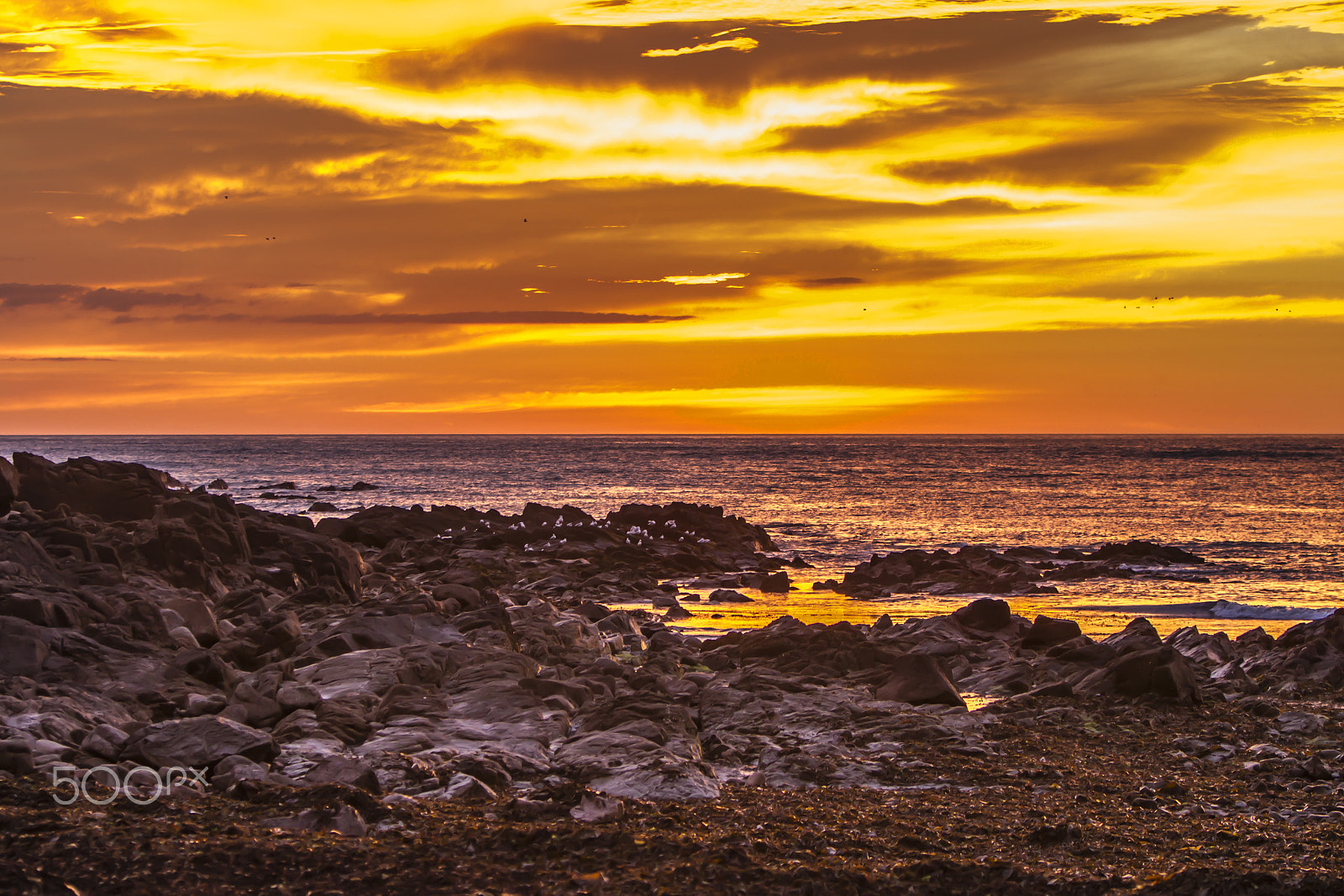 Canon EF 70-200mm F2.8L IS USM sample photo. Another colourful sunset photography