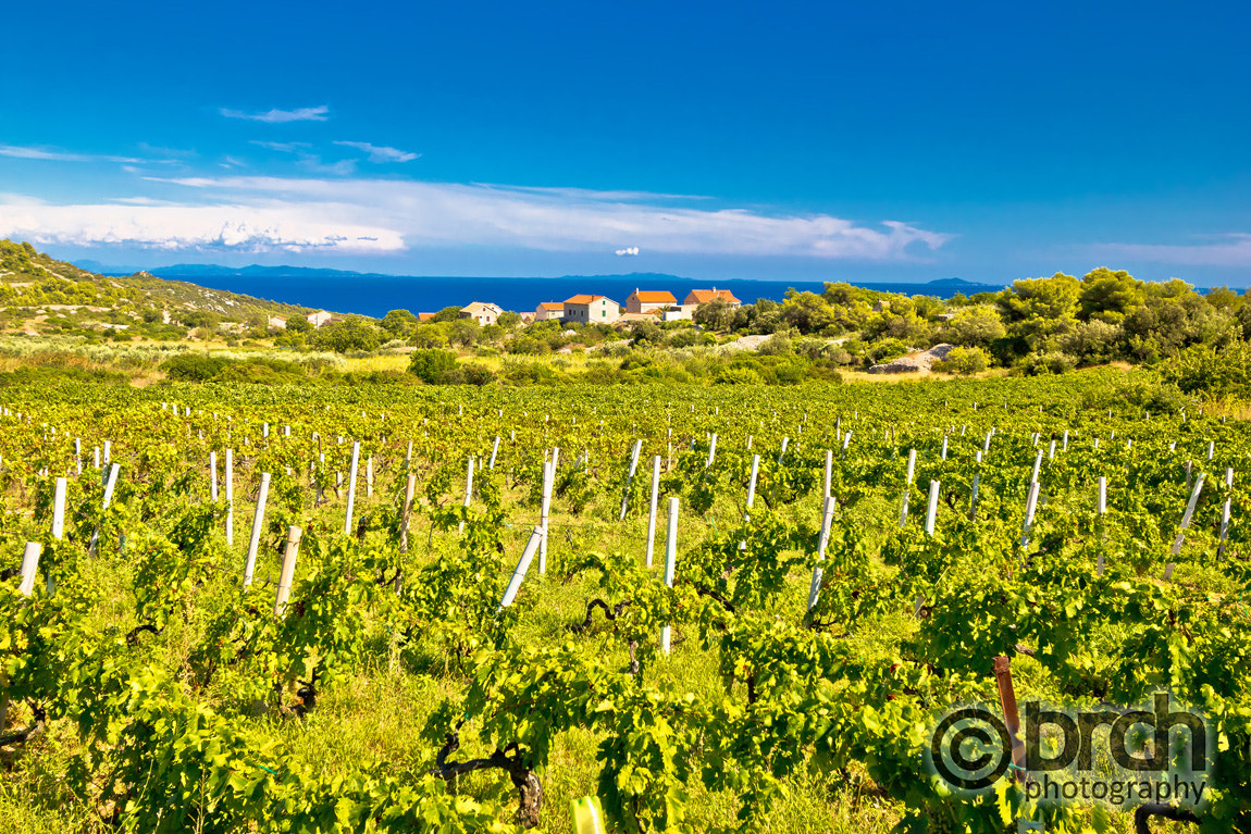 Canon EF-S 10-22mm F3.5-4.5 USM sample photo. Island of vis vineyards panorama photography