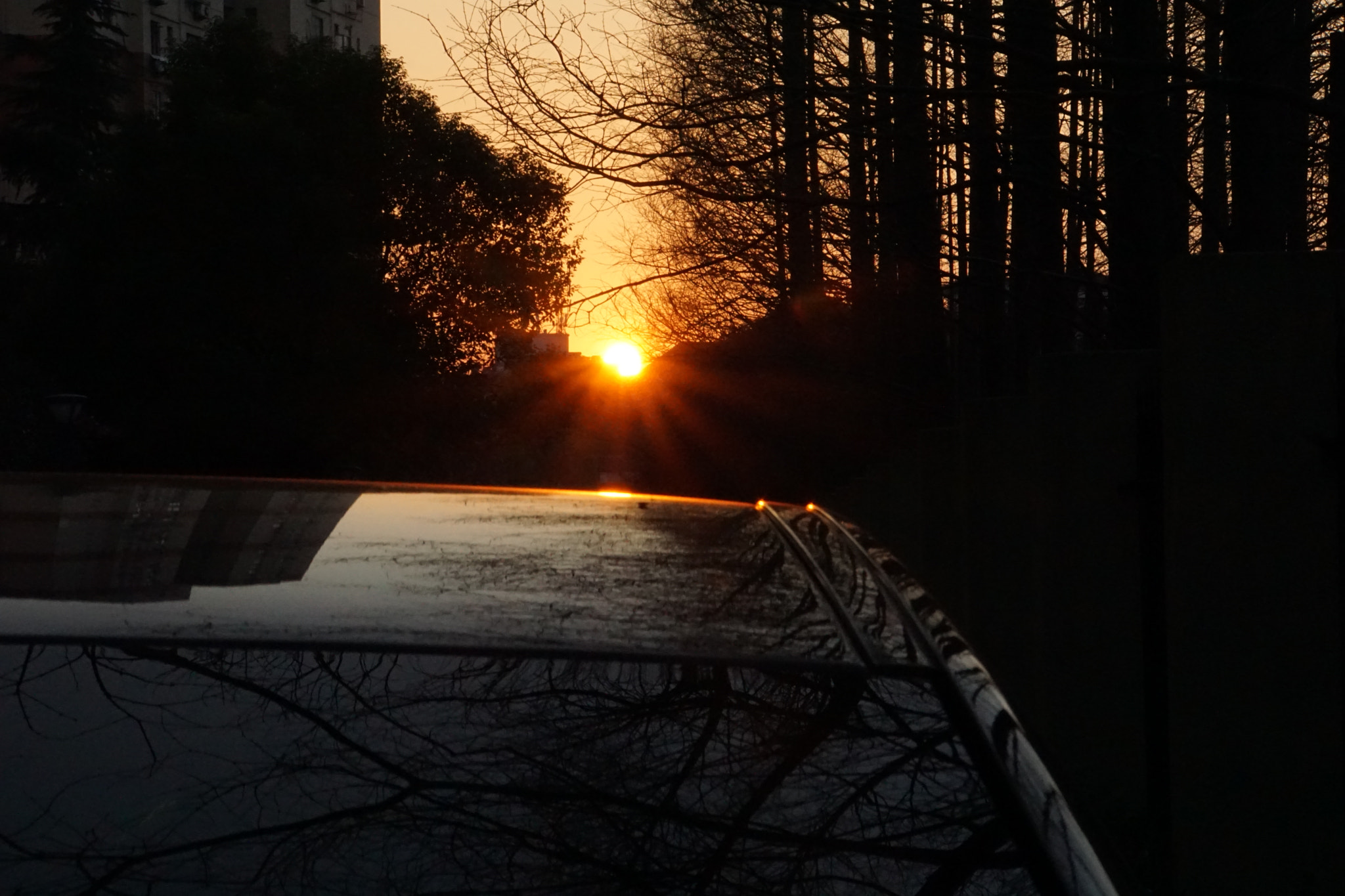 Sony FE 28-70mm F3.5-5.6 OSS sample photo. 夕阳。 photography