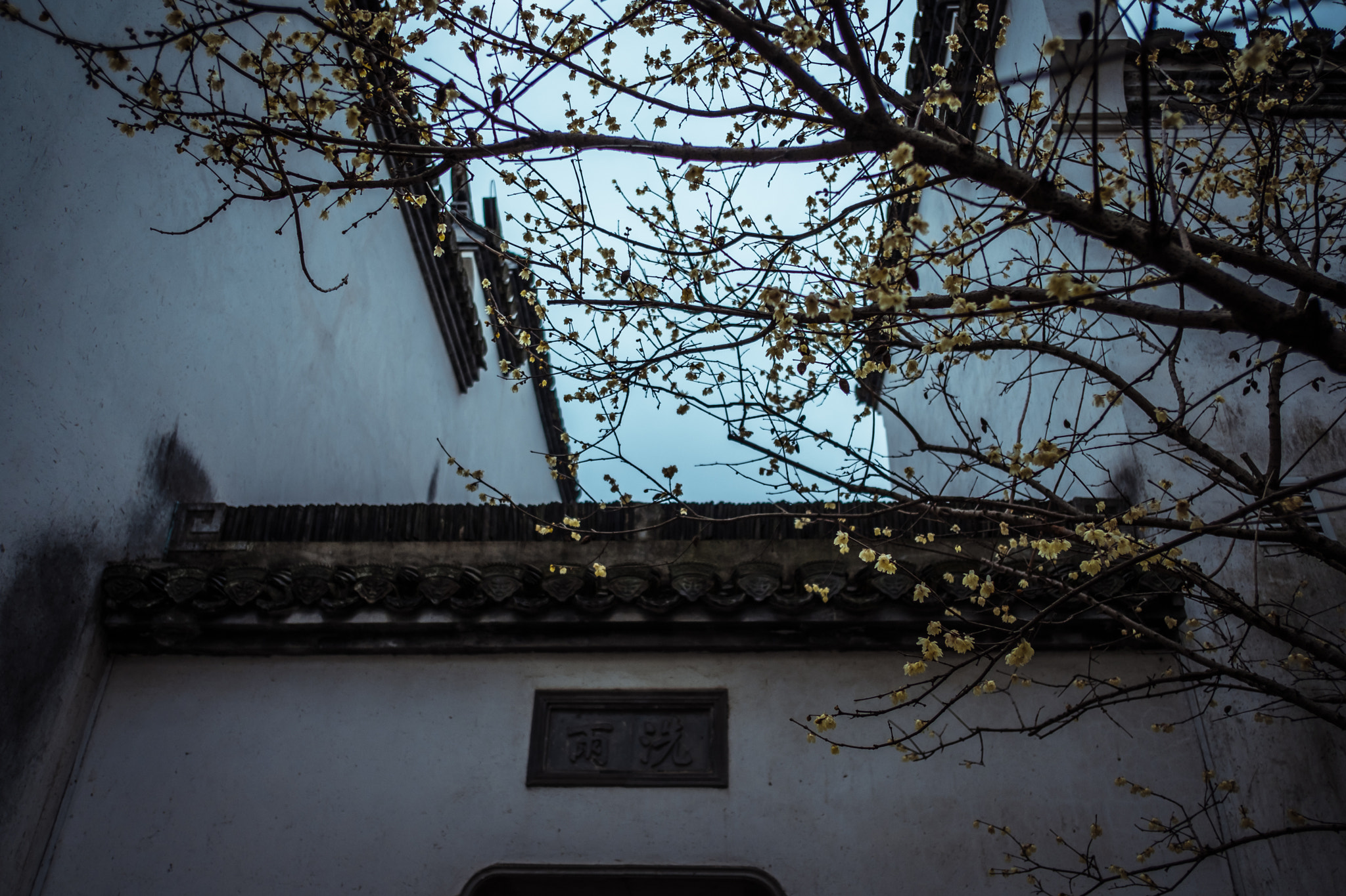 Fujifilm X-Pro2 + Fujifilm XF 18mm F2 R sample photo. Dscf photography