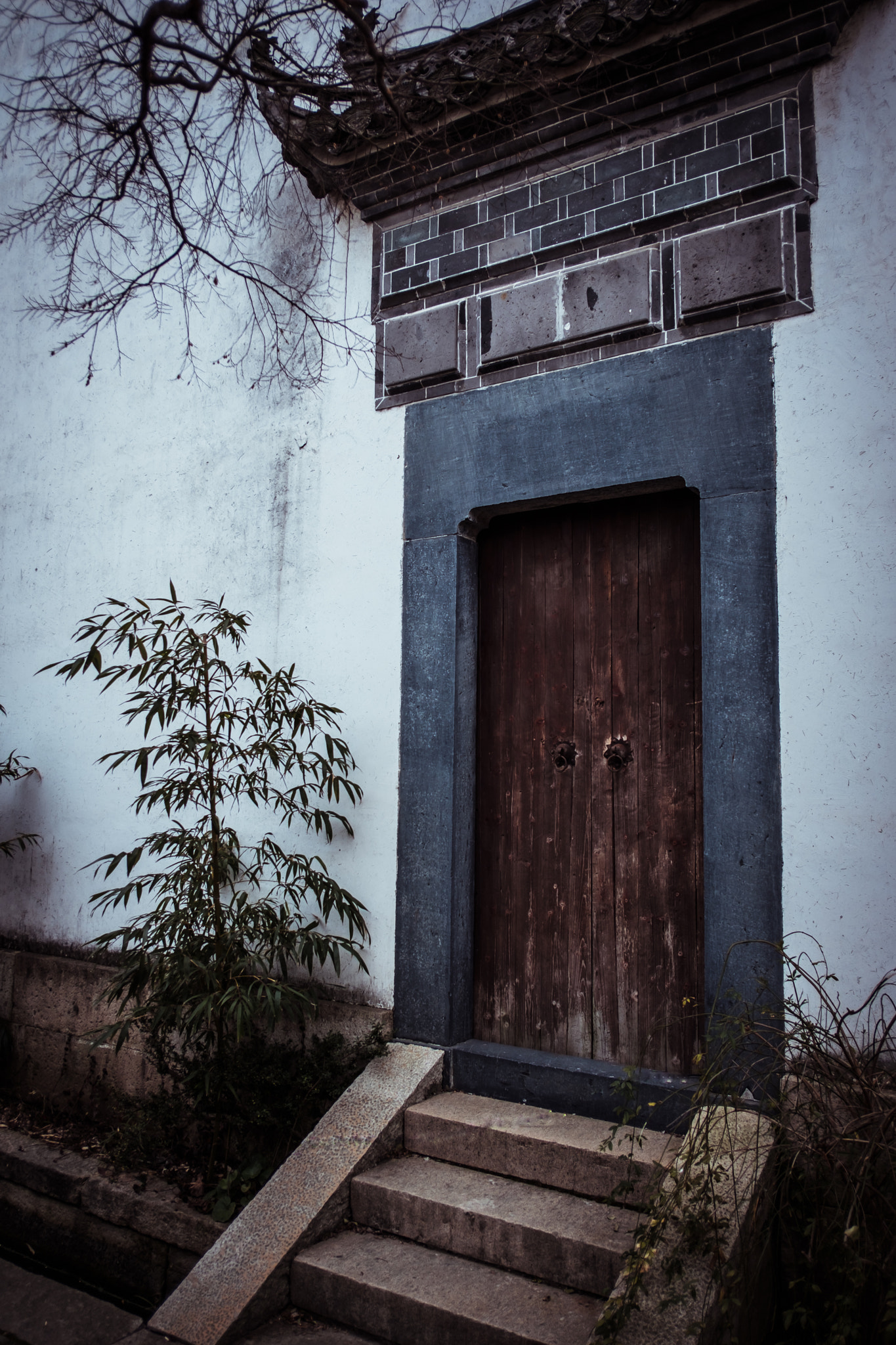 Fujifilm X-Pro2 + Fujifilm XF 18mm F2 R sample photo. Dscf photography