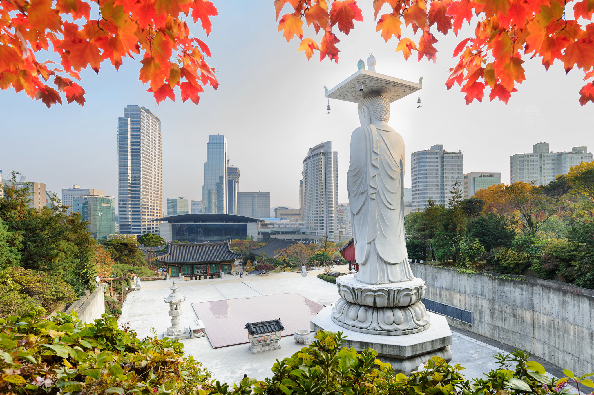 Nikon D3S sample photo. Bongeunsa temple in autumn red leaves seoul, korea. photography